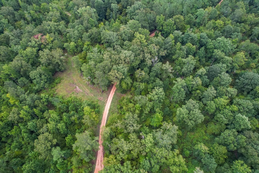 Hunting Land for Sale in Hinds County, MS