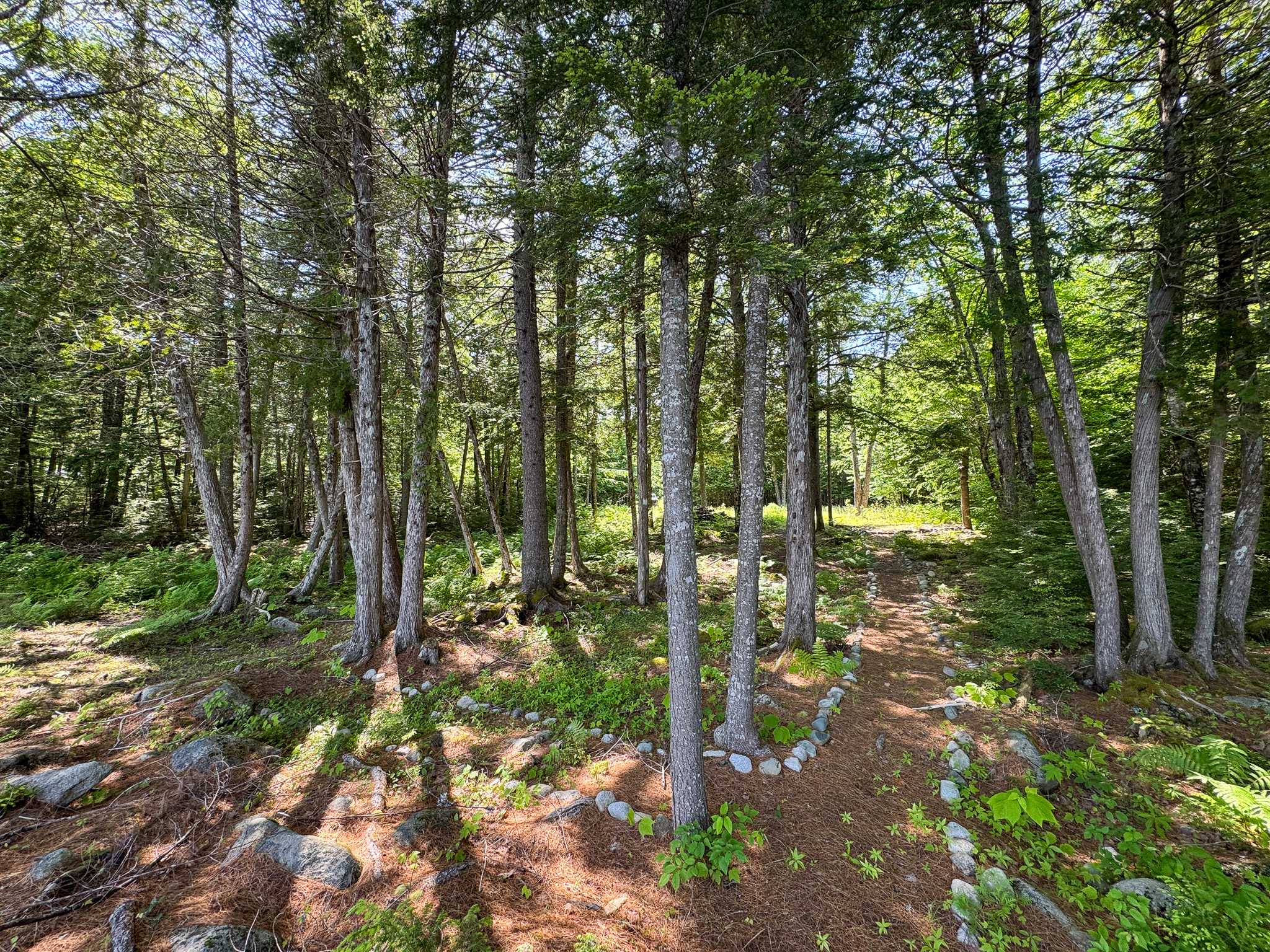 Lakefront Land for Sale – 12.52 Acres with 355 Feet of Shoreline