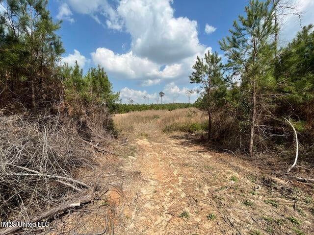 52 Acre Homesite Madison County Camden, MS