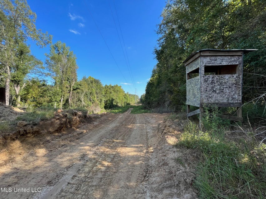 60 Acres For Sale In Yazoo County, MS