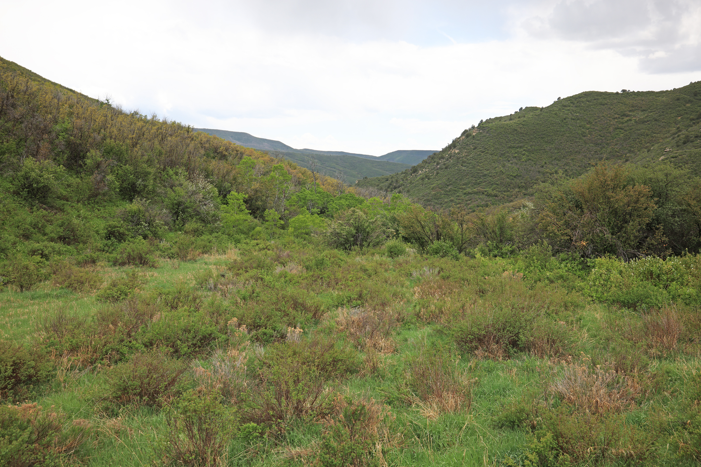 Colorado Recreation and Hunting Property