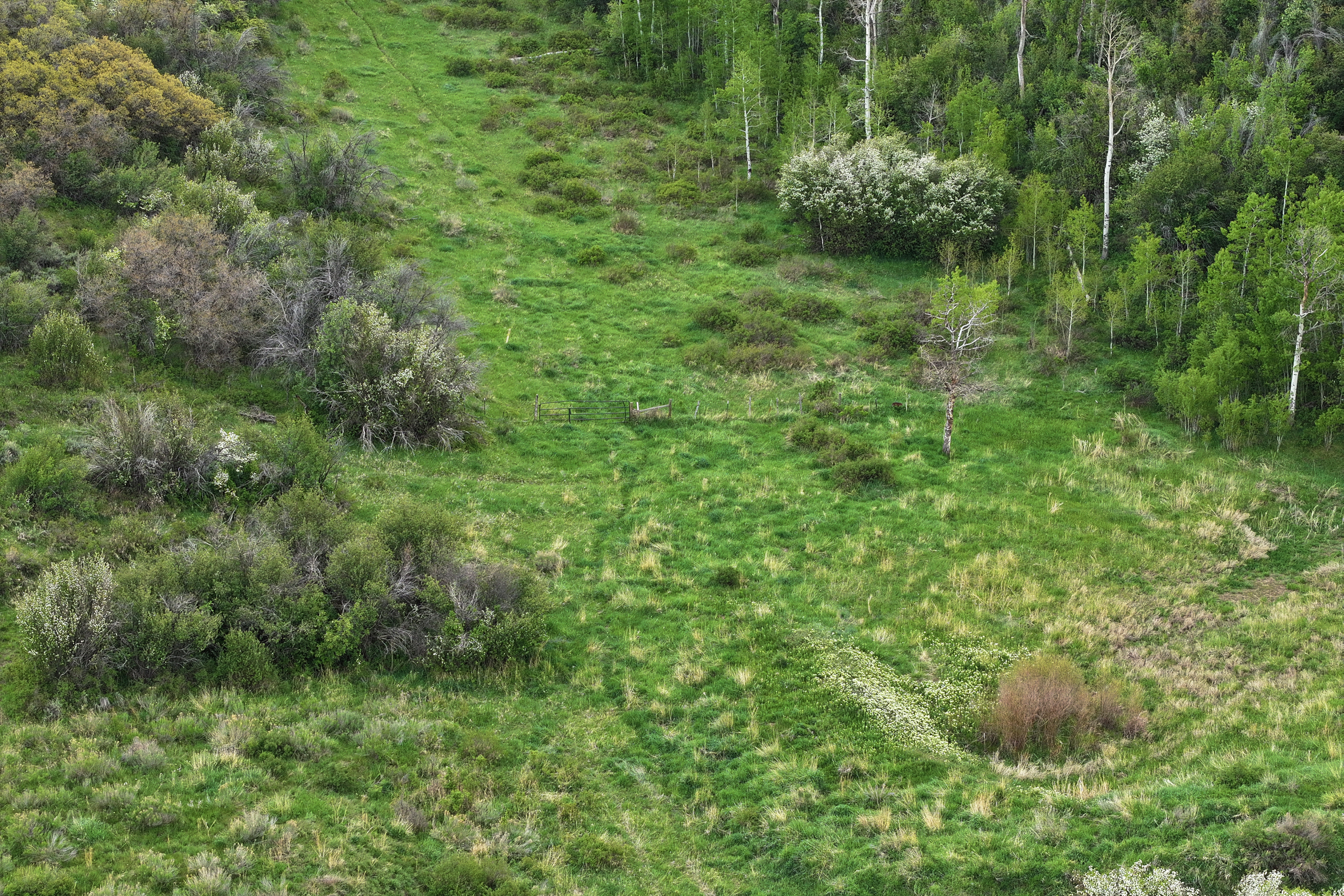 Colorado Recreation and Hunting Property