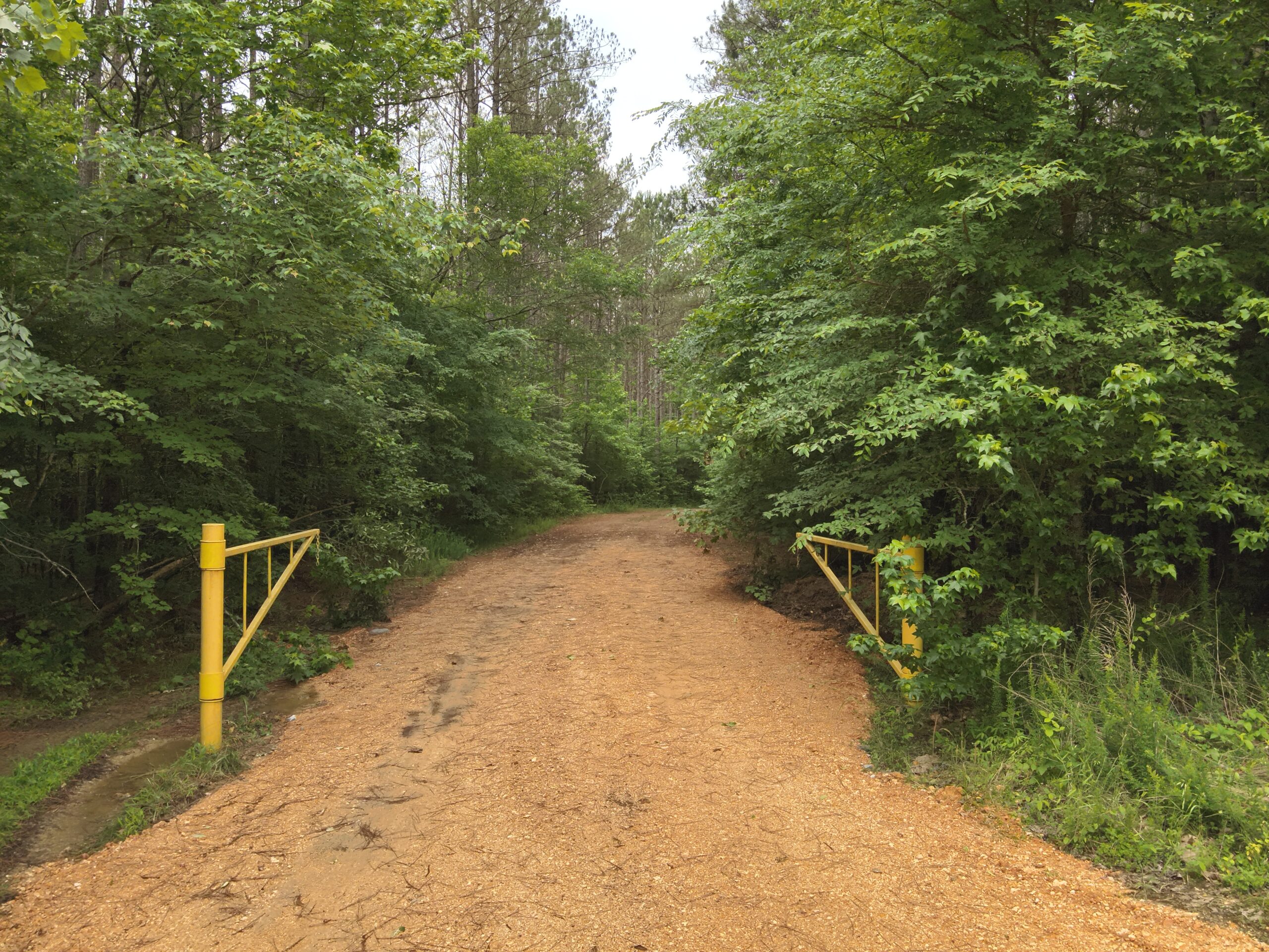65.84 Acres for Sale in Decaturville, Tennessee