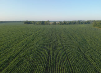 140 +/- Acres – Appanoose County, Iowa High-Quality Farmland with Strong Income & Excellent Hunting