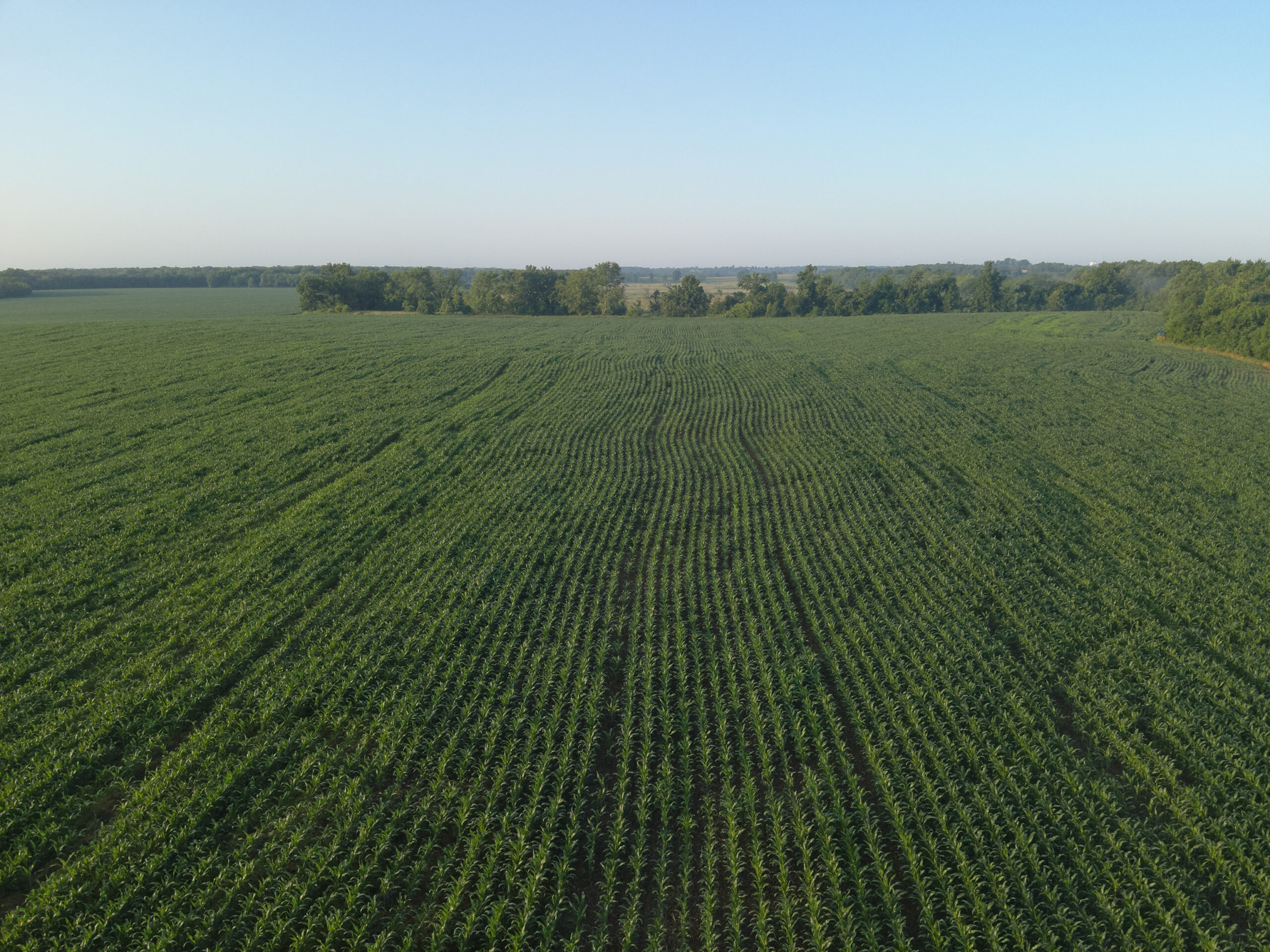 140 +/- Acres – Appanoose County, Iowa High-Quality Farmland with Strong Income & Excellent Hunting