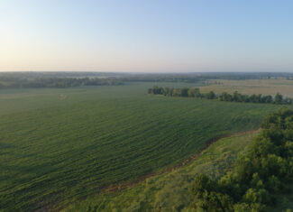 140 +/- Acres – Appanoose County, Iowa High-Quality Farmland with Strong Income & Excellent Hunting