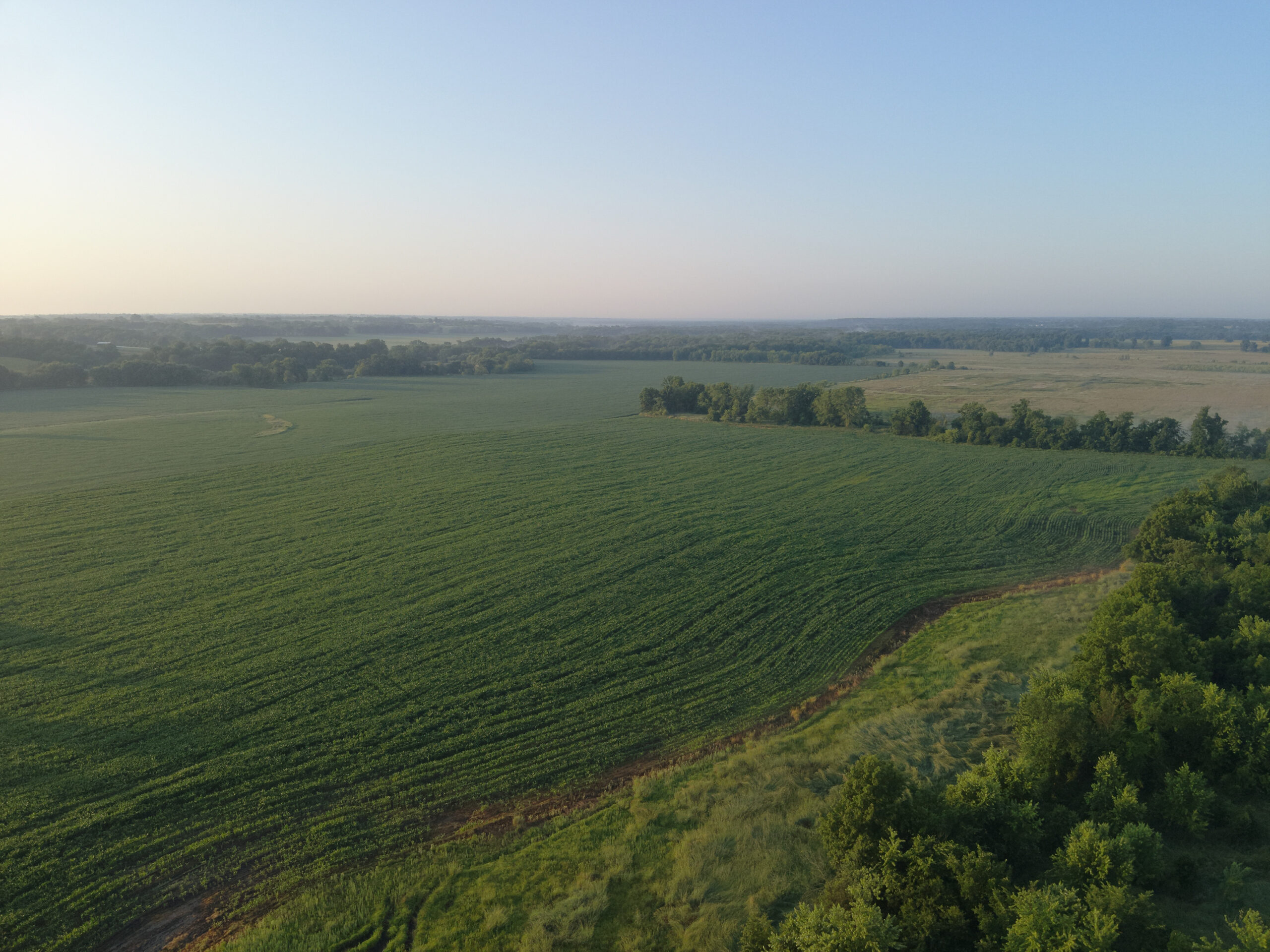 140 +/- Acres – Appanoose County, Iowa High-Quality Farmland with Strong Income & Excellent Hunting