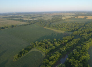 140 +/- Acres – Appanoose County, Iowa High-Quality Farmland with Strong Income & Excellent Hunting