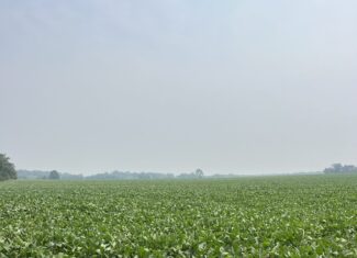 140 +/- Acres – Appanoose County, Iowa High-Quality Farmland with Strong Income & Excellent Hunting