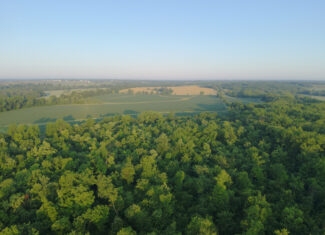 140 +/- Acres – Appanoose County, Iowa High-Quality Farmland with Strong Income & Excellent Hunting