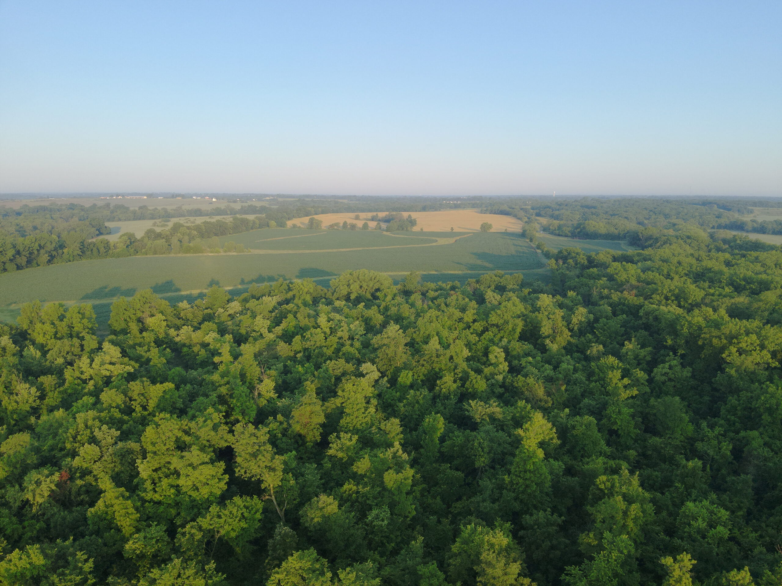 140 +/- Acres – Appanoose County, Iowa High-Quality Farmland with Strong Income & Excellent Hunting