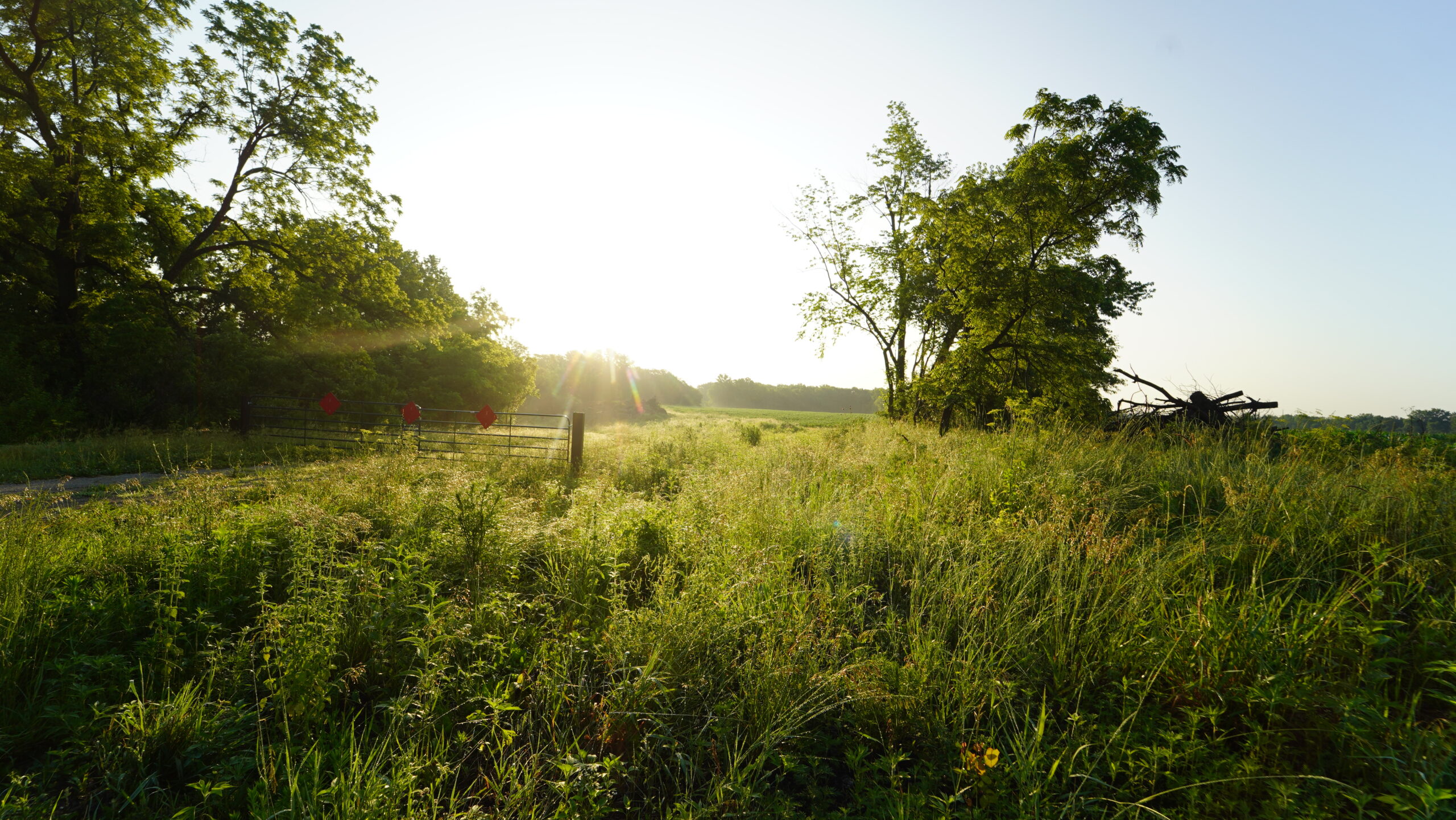 140 +/- Acres – Appanoose County, Iowa High-Quality Farmland with Strong Income & Excellent Hunting