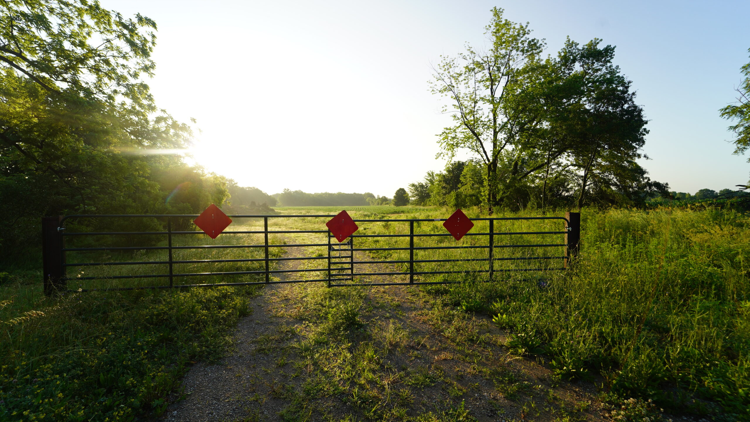 140 +/- Acres – Appanoose County, Iowa High-Quality Farmland with Strong Income & Excellent Hunting
