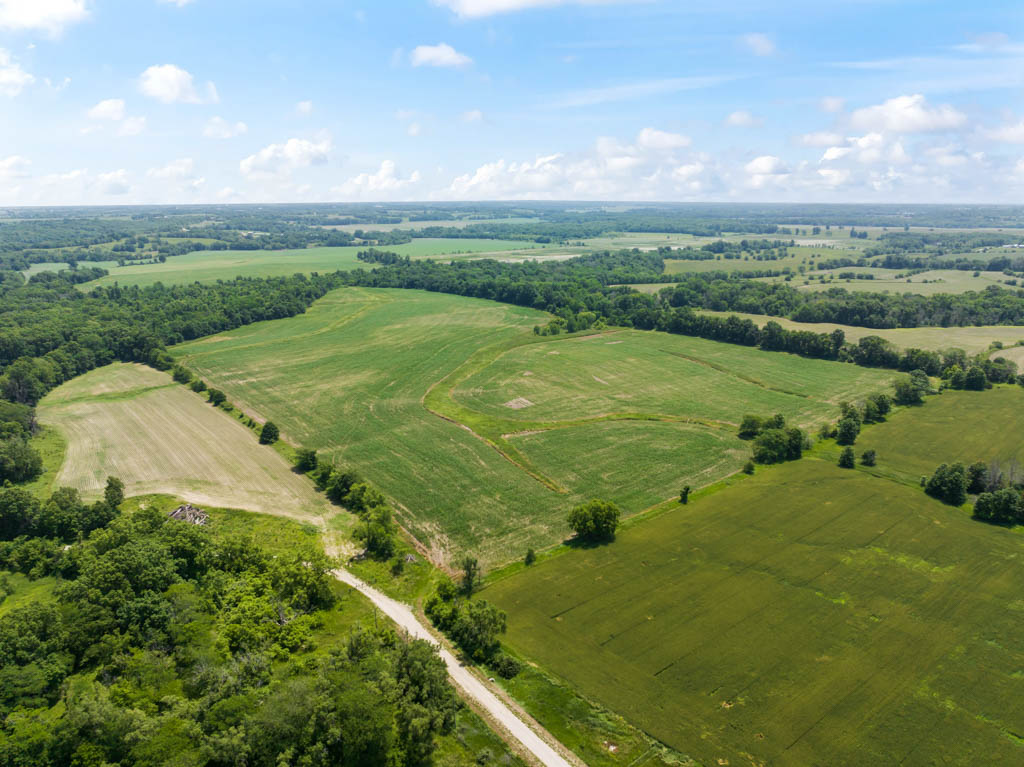 140 +/- Acres – Appanoose County, Iowa High-Quality Farmland with Strong Income & Excellent Hunting