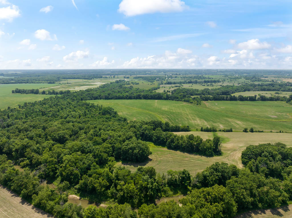 140 +/- Acres – Appanoose County, Iowa High-Quality Farmland with Strong Income & Excellent Hunting