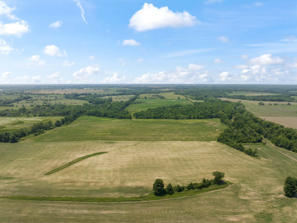 140 +/- Acres – Appanoose County, Iowa High-Quality Farmland with Strong Income & Excellent Hunting