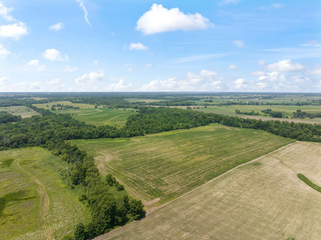 140 +/- Acres – Appanoose County, Iowa High-Quality Farmland with Strong Income & Excellent Hunting