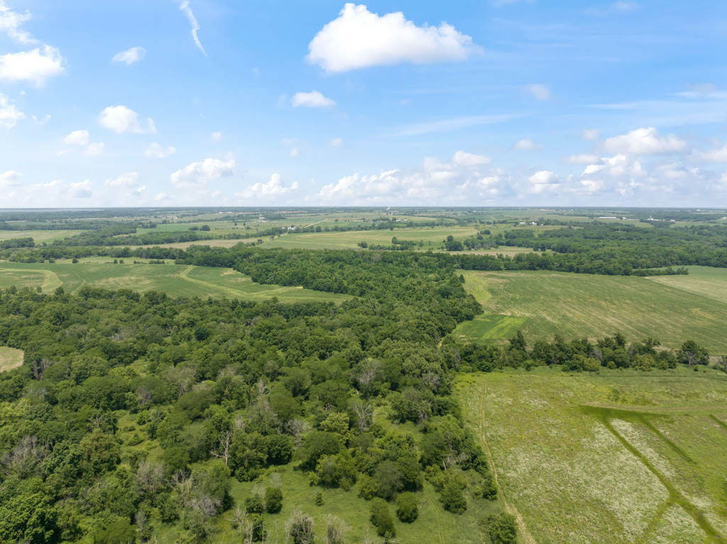 140 +/- Acres – Appanoose County, Iowa High-Quality Farmland with Strong Income & Excellent Hunting