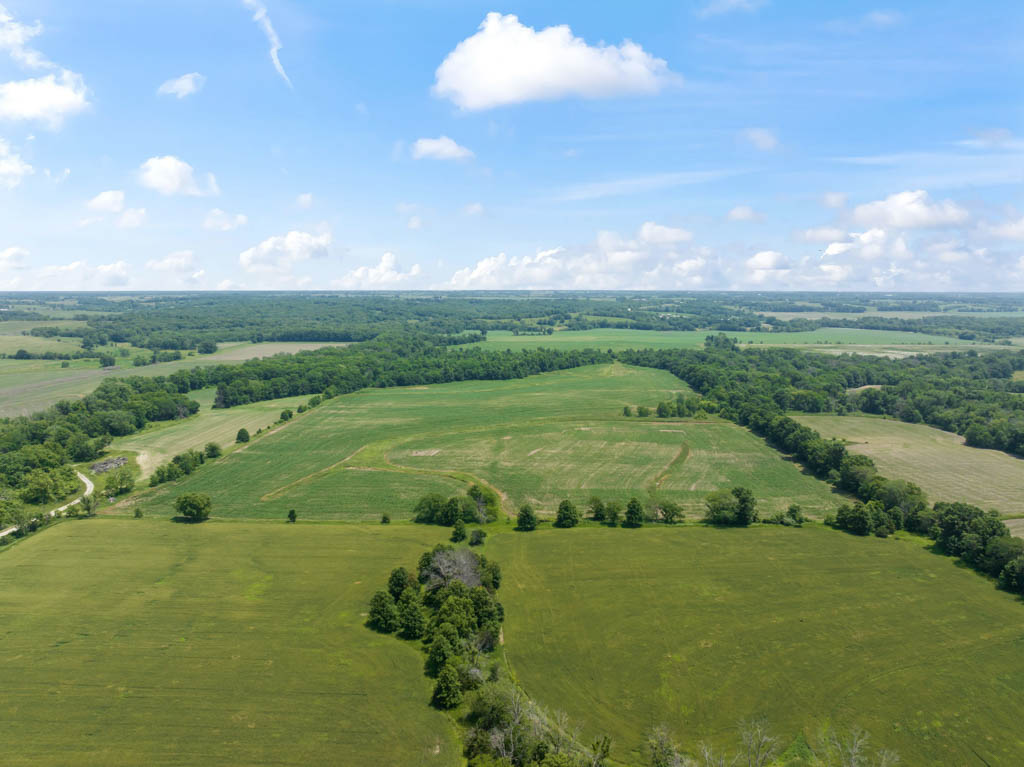 140 +/- Acres – Appanoose County, Iowa High-Quality Farmland with Strong Income & Excellent Hunting