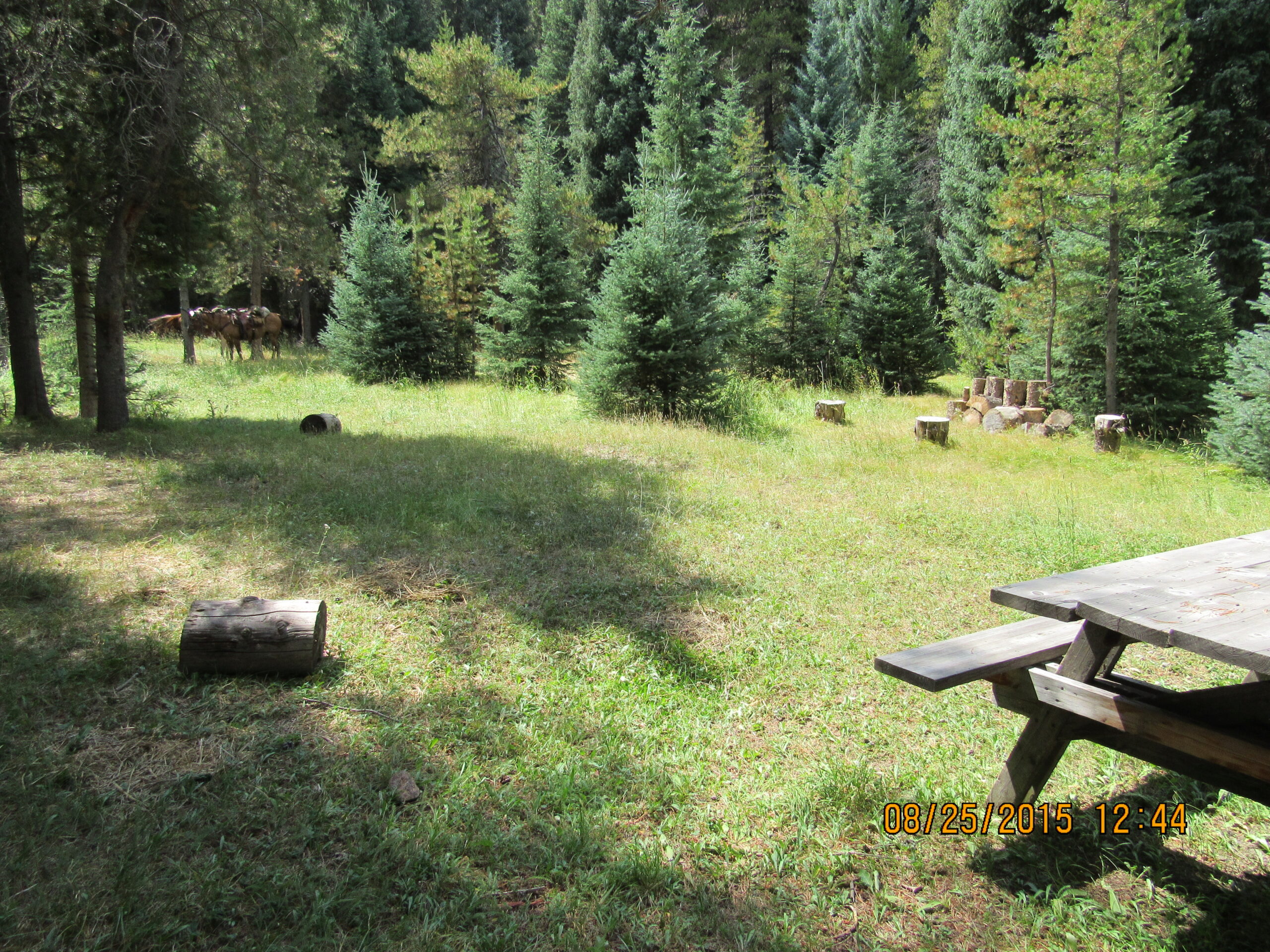 North Colorado Outfitting Business for sale (NO DEEDED PROPERTY)