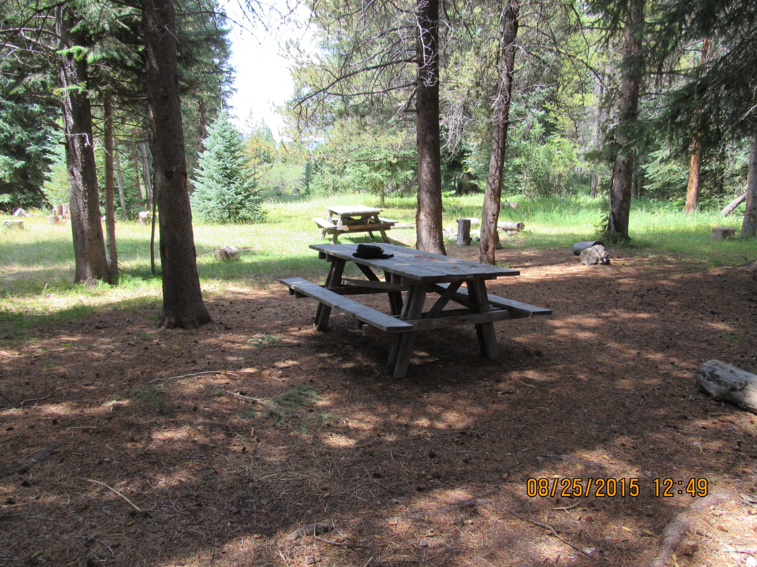 North Colorado Outfitting Business for sale (NO DEEDED PROPERTY)