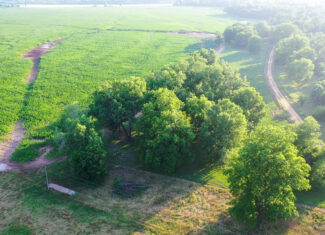 Irrigated Red River Farm & Hunting Ranch