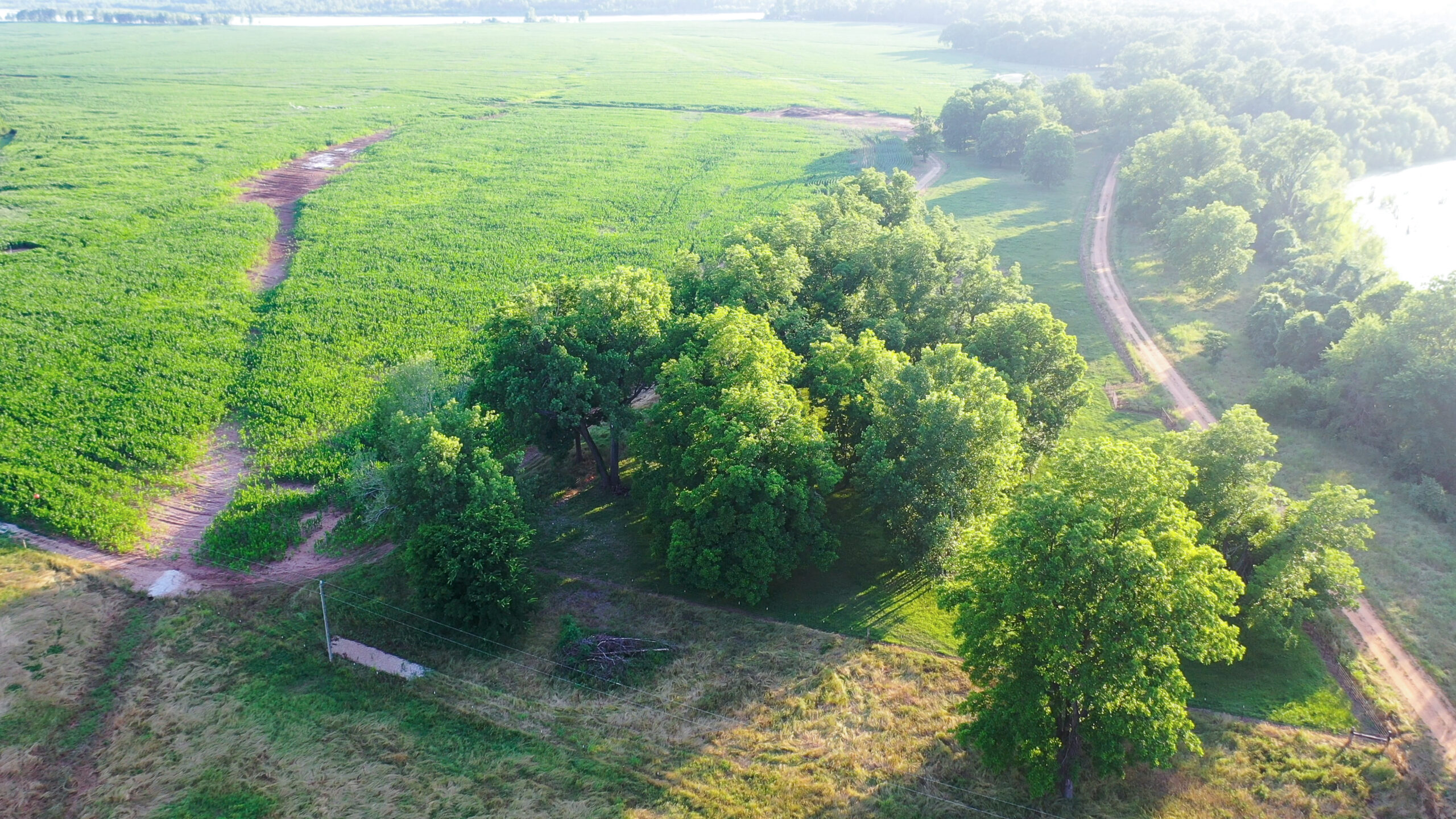 Irrigated Red River Farm & Hunting Ranch
