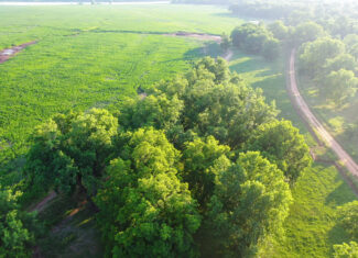 Irrigated Red River Farm & Hunting Ranch