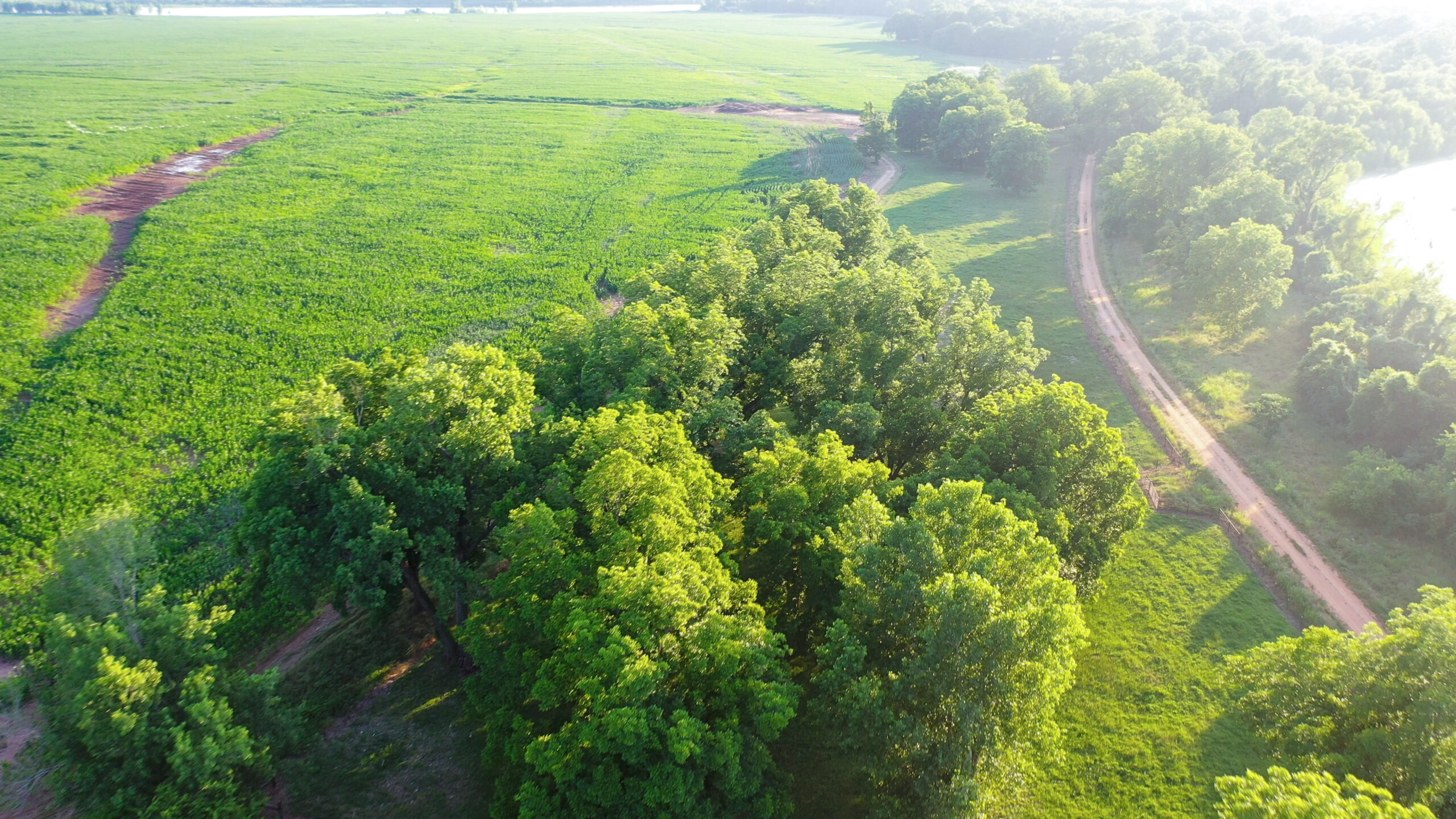 Irrigated Red River Farm & Hunting Ranch