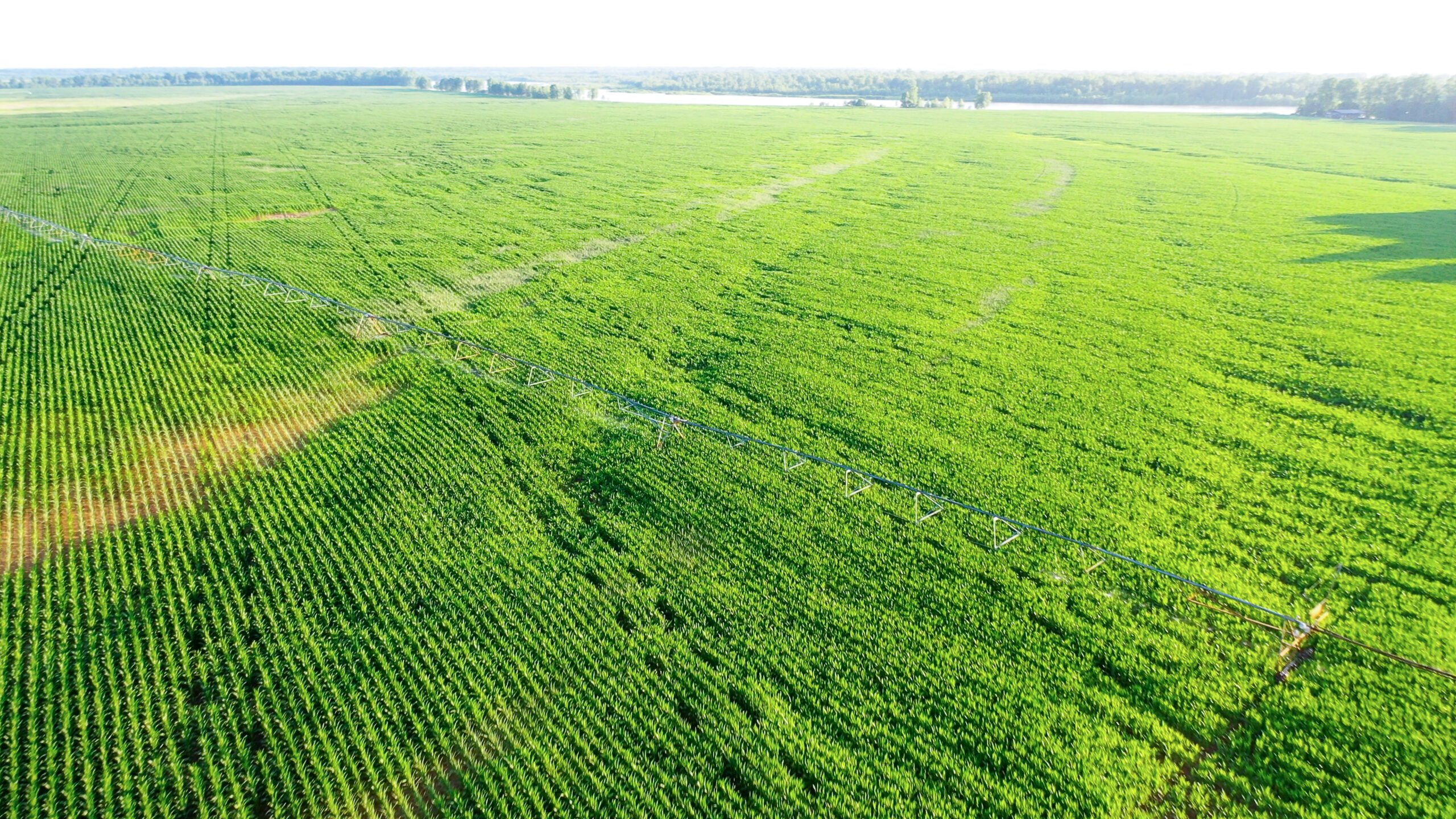 Irrigated Red River Farm & Hunting Ranch