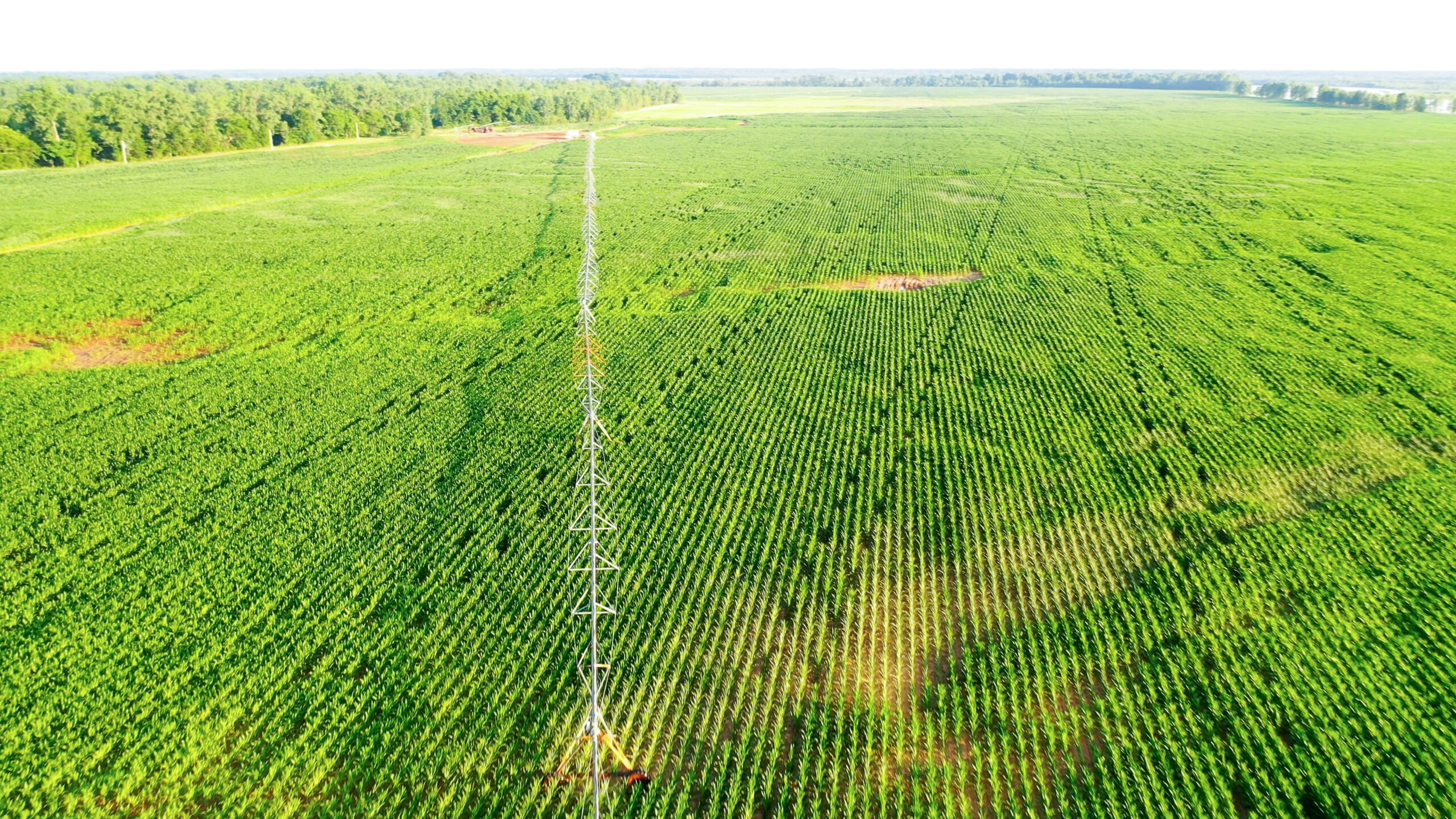 Irrigated Red River Farm & Hunting Ranch