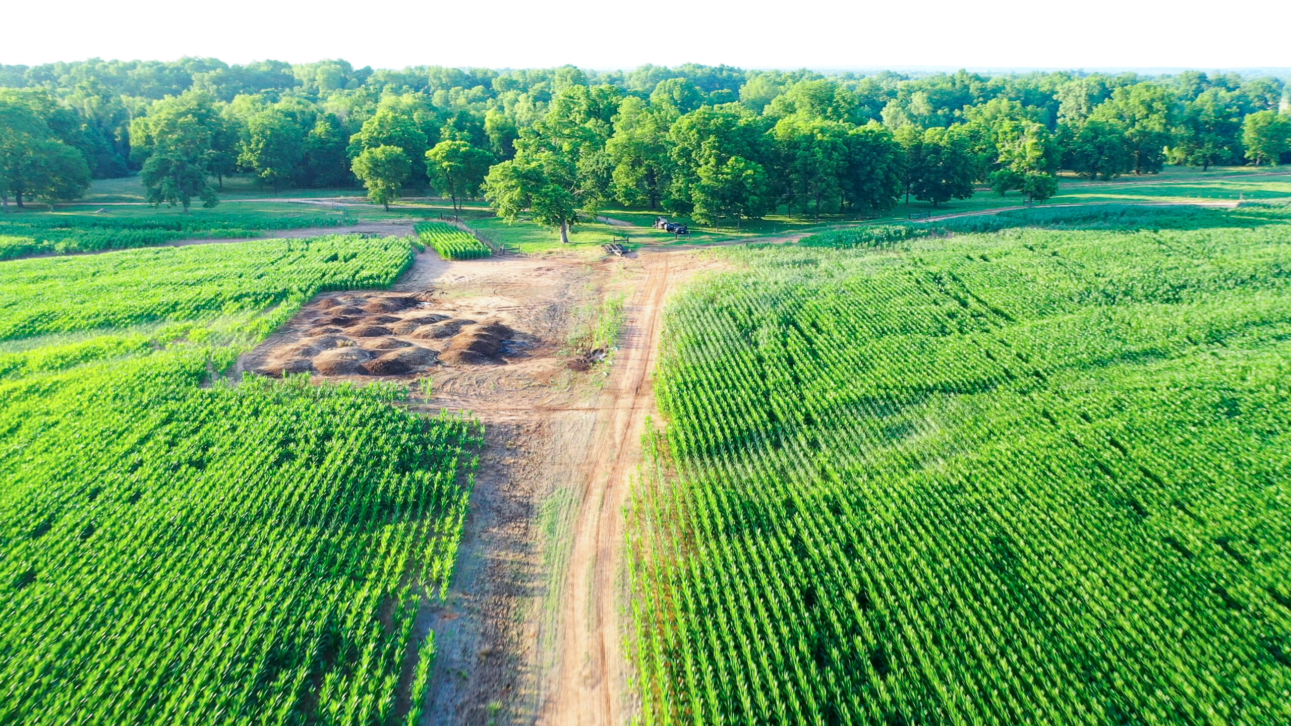 Irrigated Red River Farm & Hunting Ranch