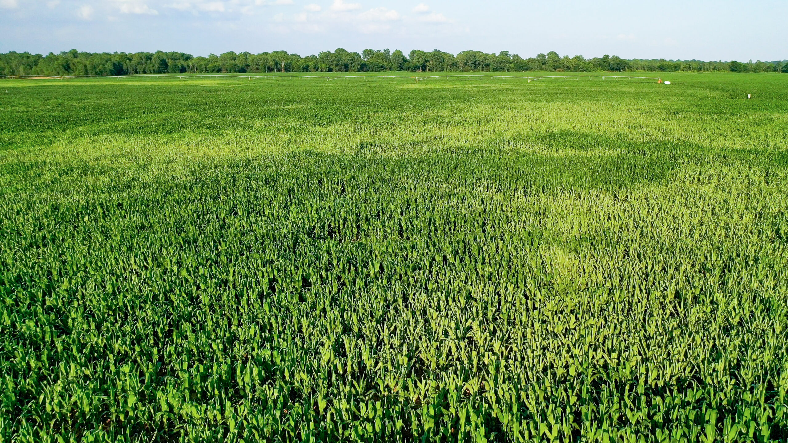 Irrigated Red River Farm & Hunting Ranch