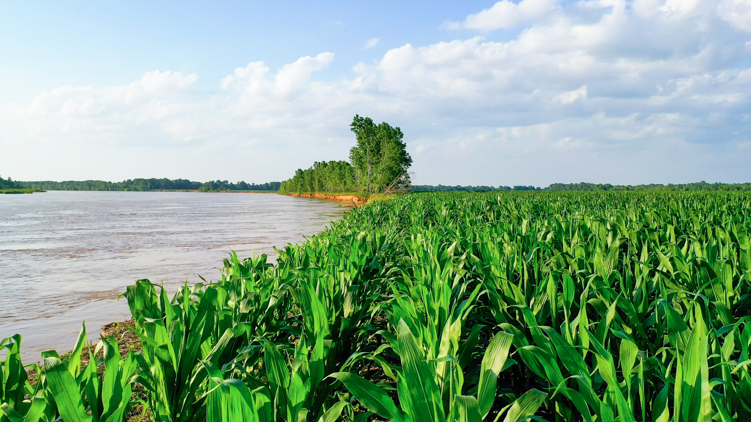 Irrigated Red River Farm & Hunting Ranch