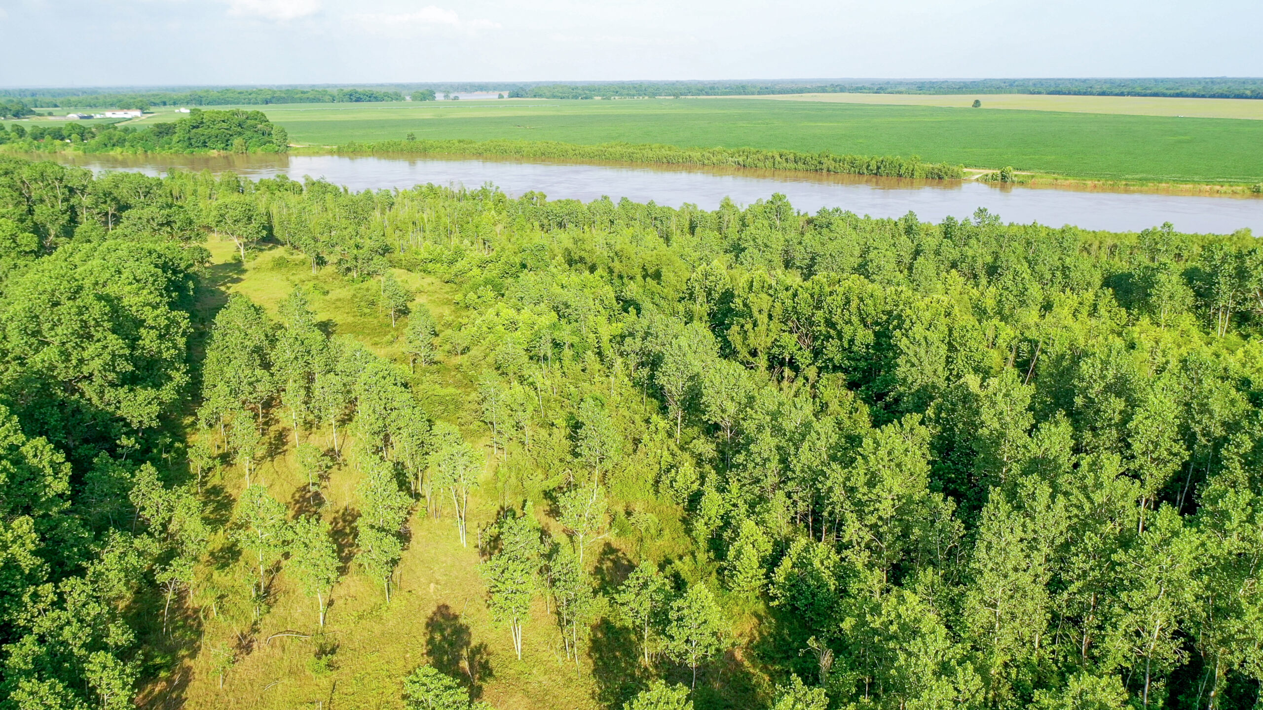 Irrigated Red River Farm & Hunting Ranch