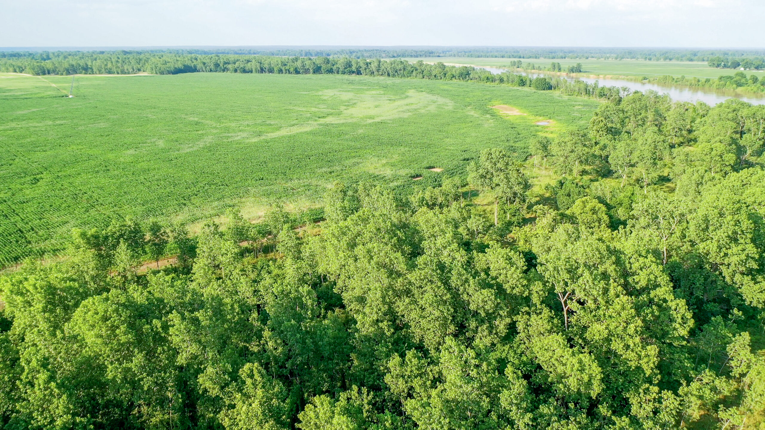 Irrigated Red River Farm & Hunting Ranch