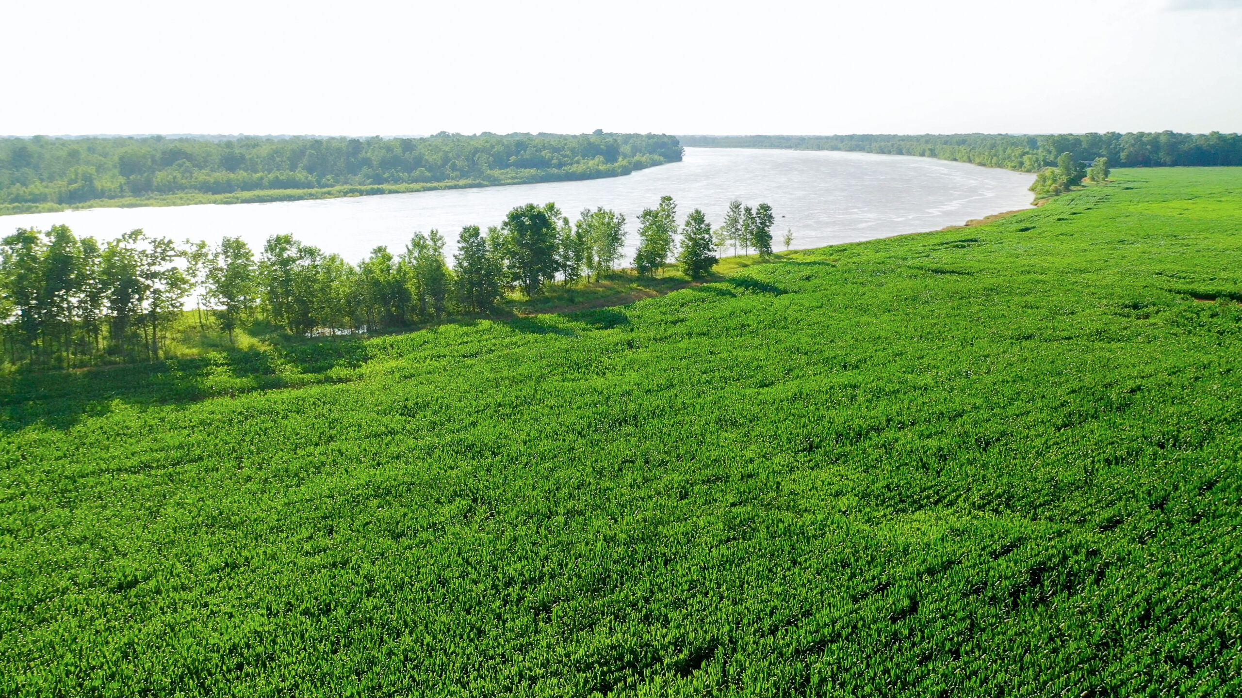 Irrigated Red River Farm & Hunting Ranch