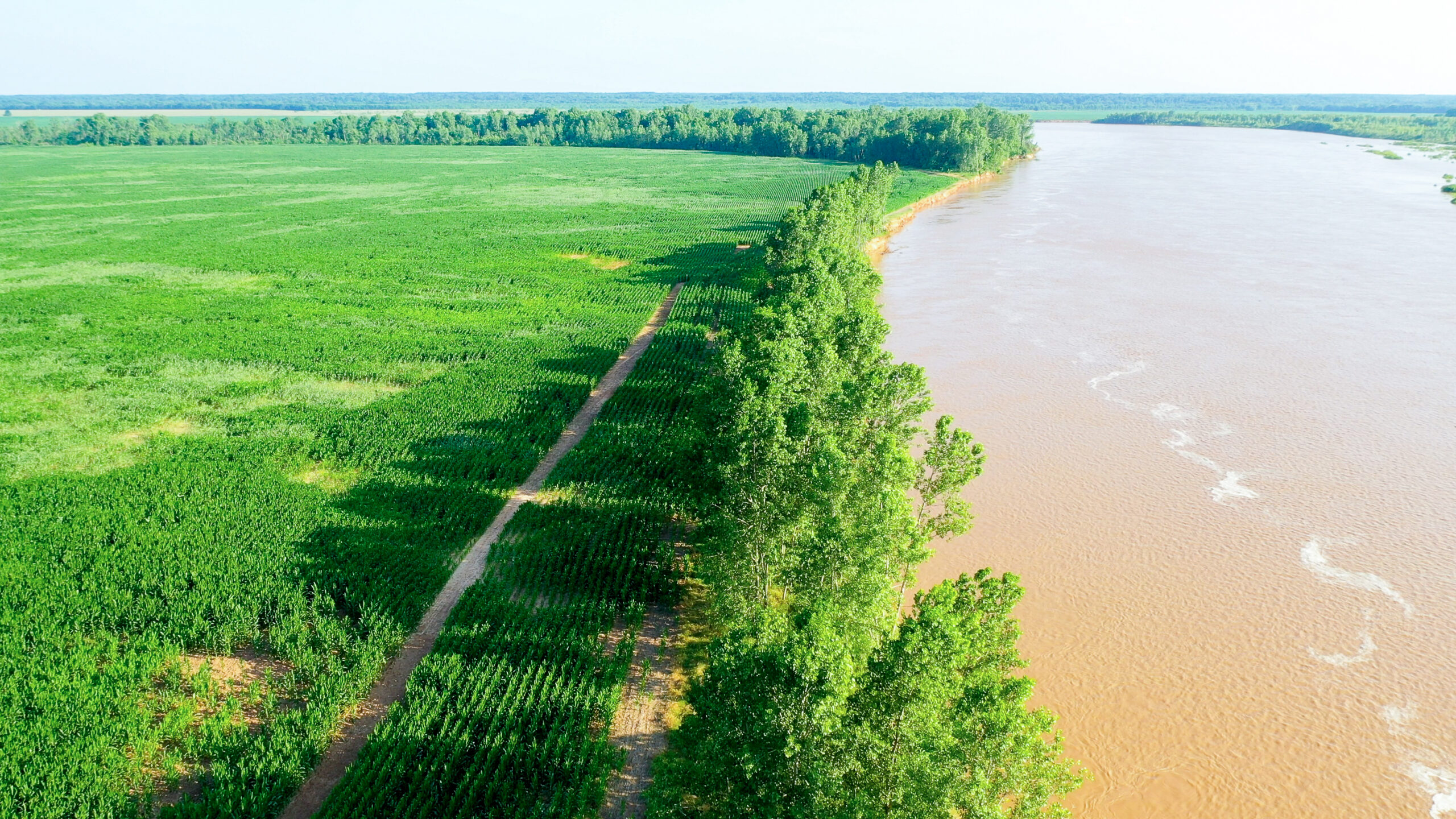 Irrigated Red River Farm & Hunting Ranch