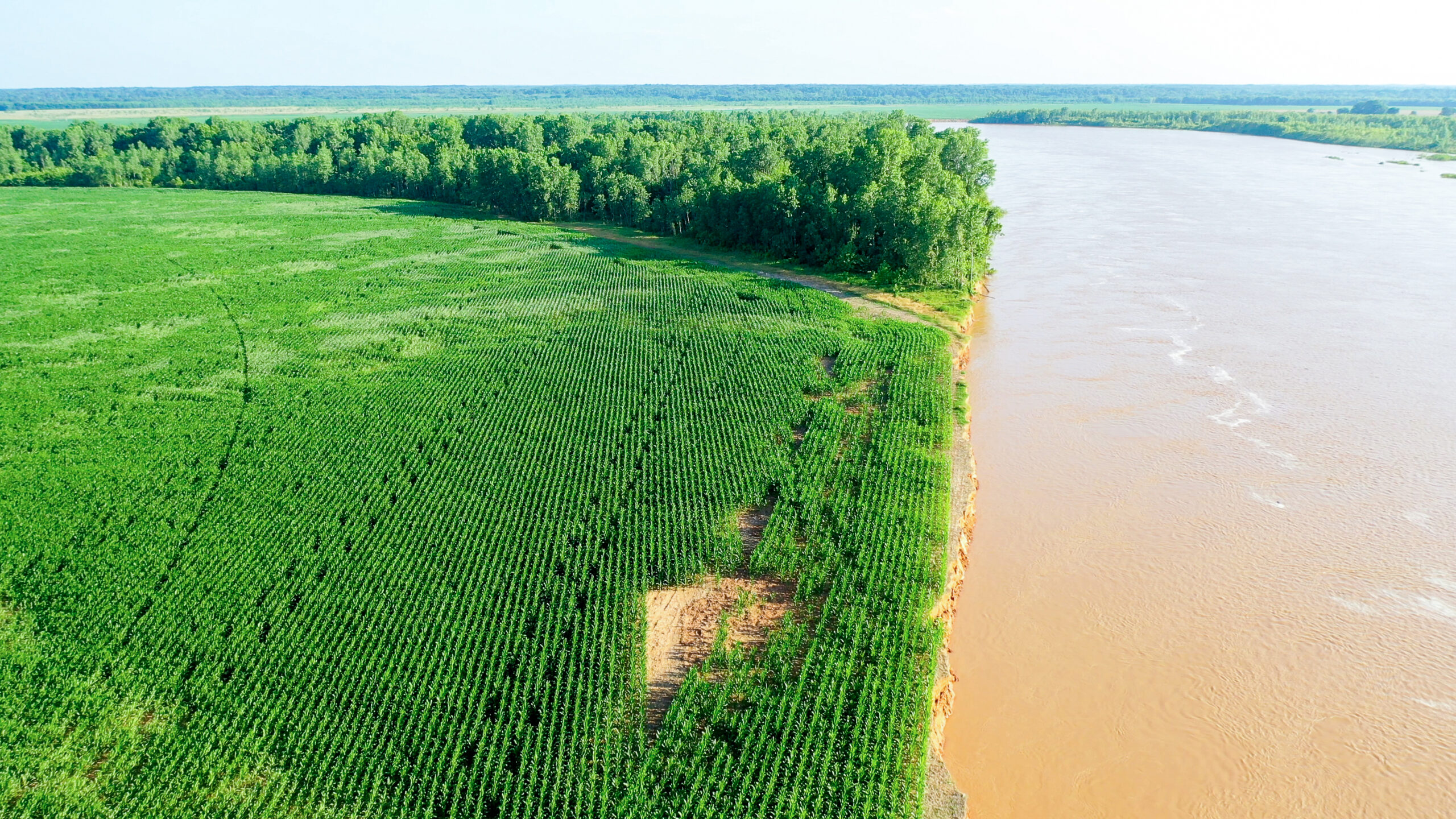 Irrigated Red River Farm & Hunting Ranch