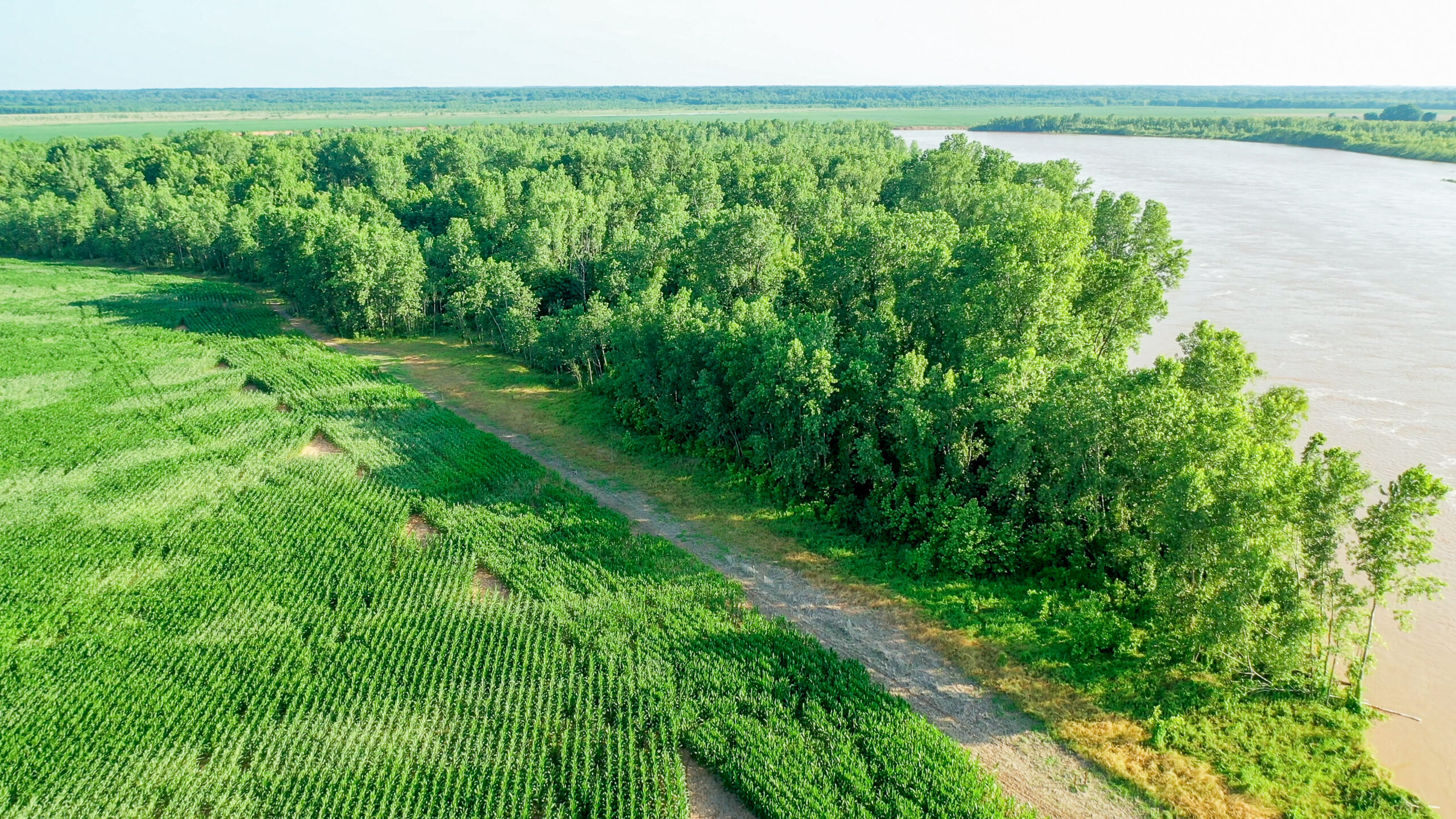 Irrigated Red River Farm & Hunting Ranch
