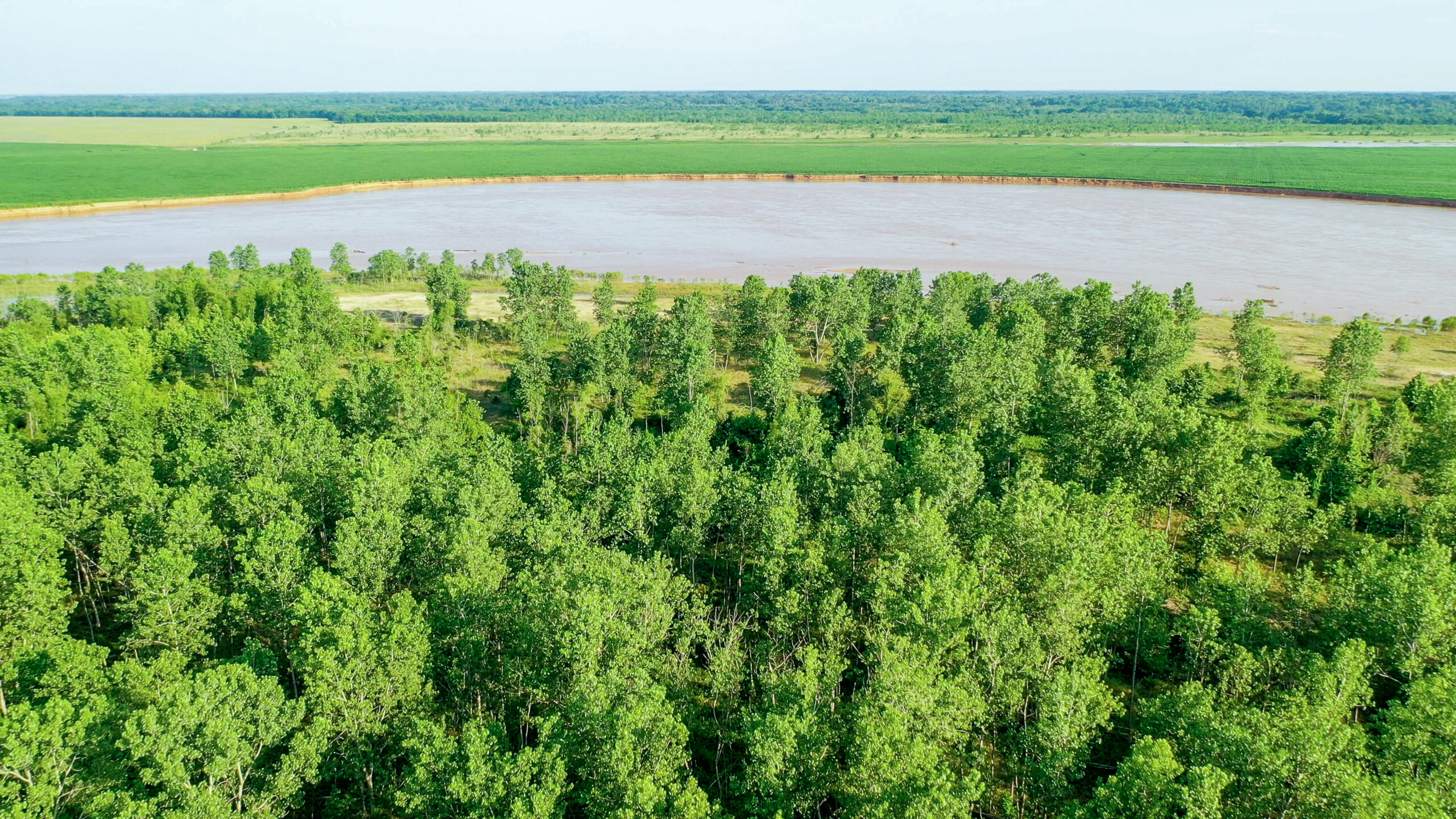 Irrigated Red River Farm & Hunting Ranch