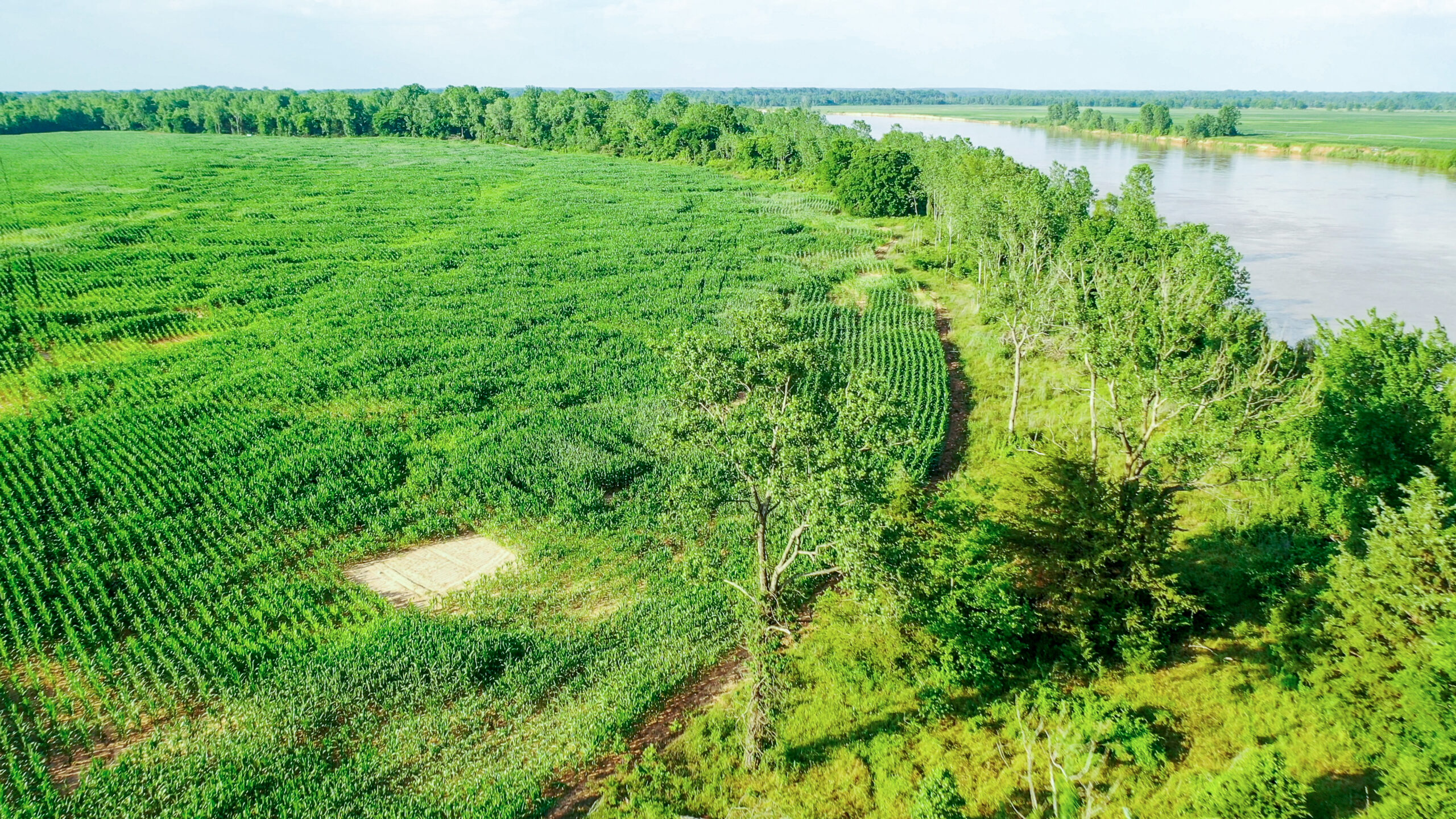 Irrigated Red River Farm & Hunting Ranch
