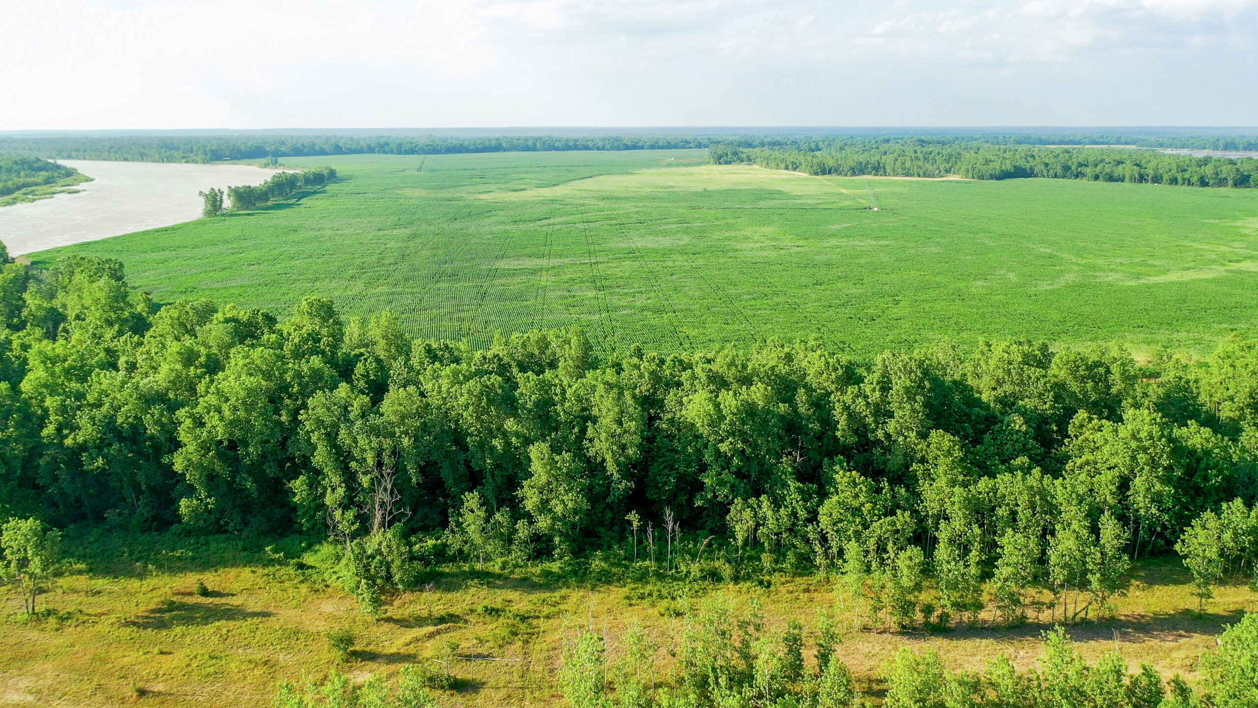 Irrigated Red River Farm & Hunting Ranch