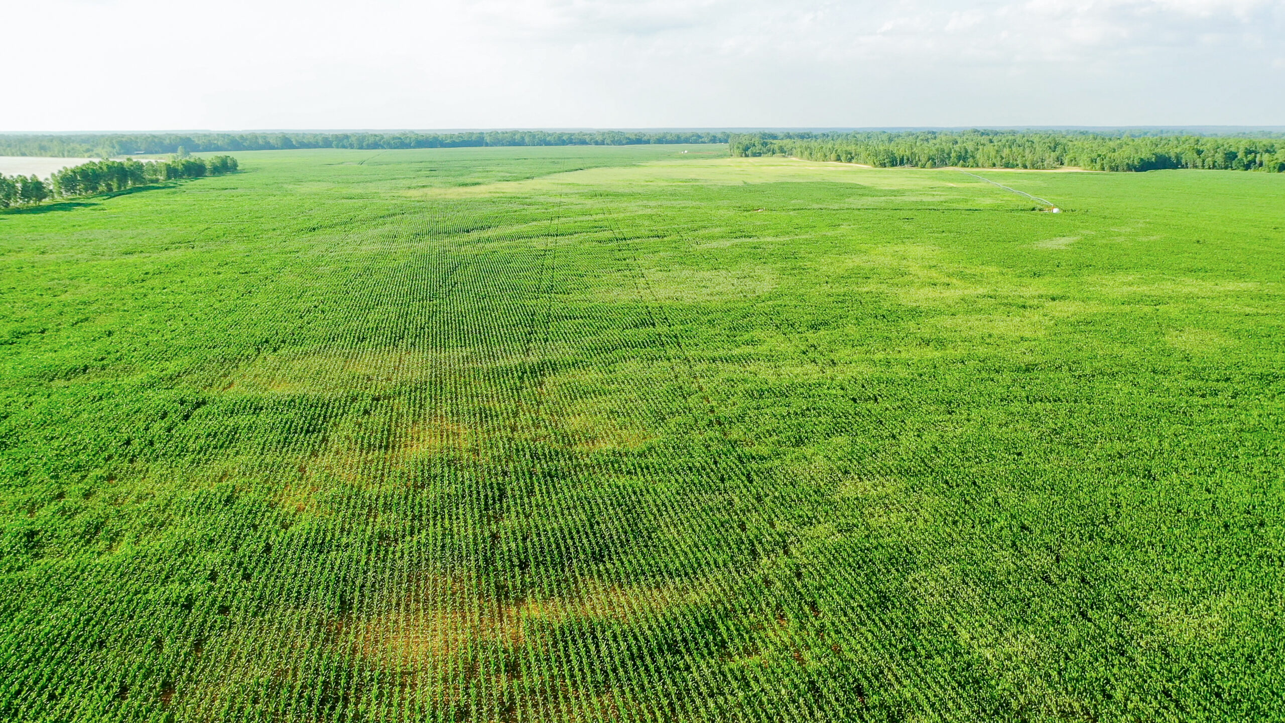 Irrigated Red River Farm & Hunting Ranch
