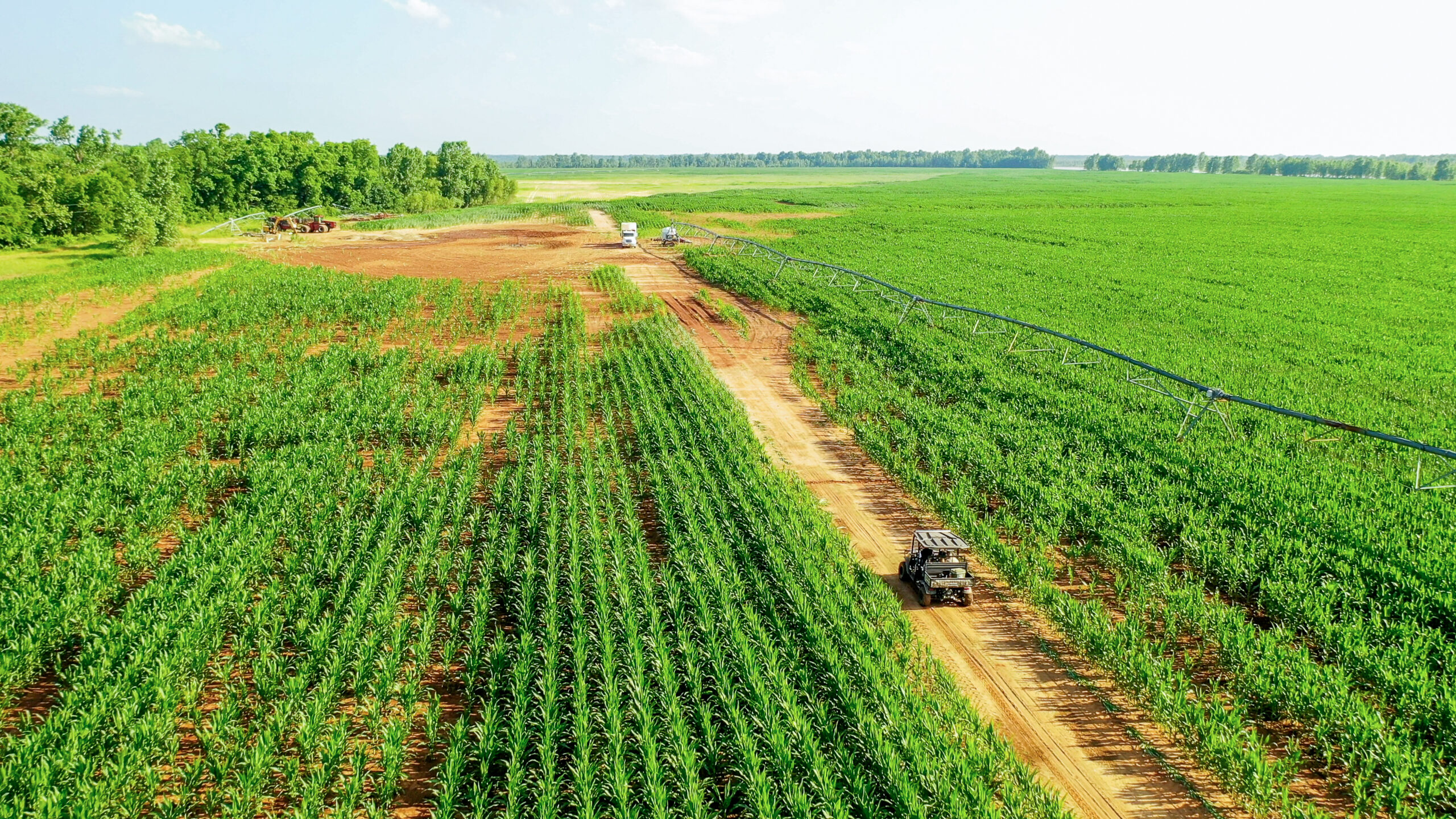 Irrigated Red River Farm & Hunting Ranch