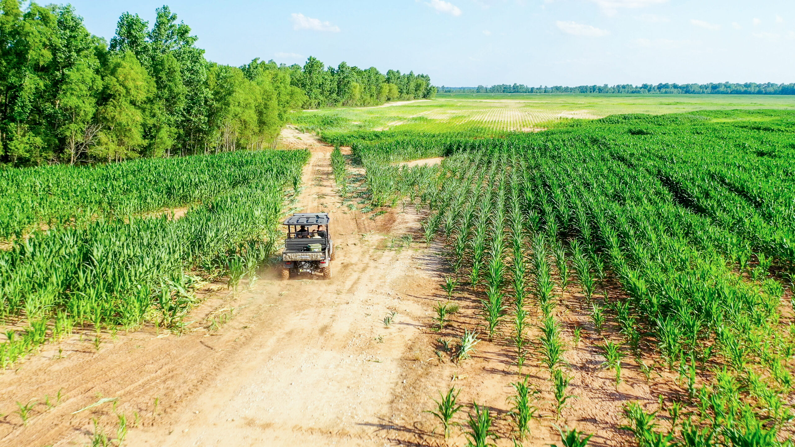 Irrigated Red River Farm & Hunting Ranch