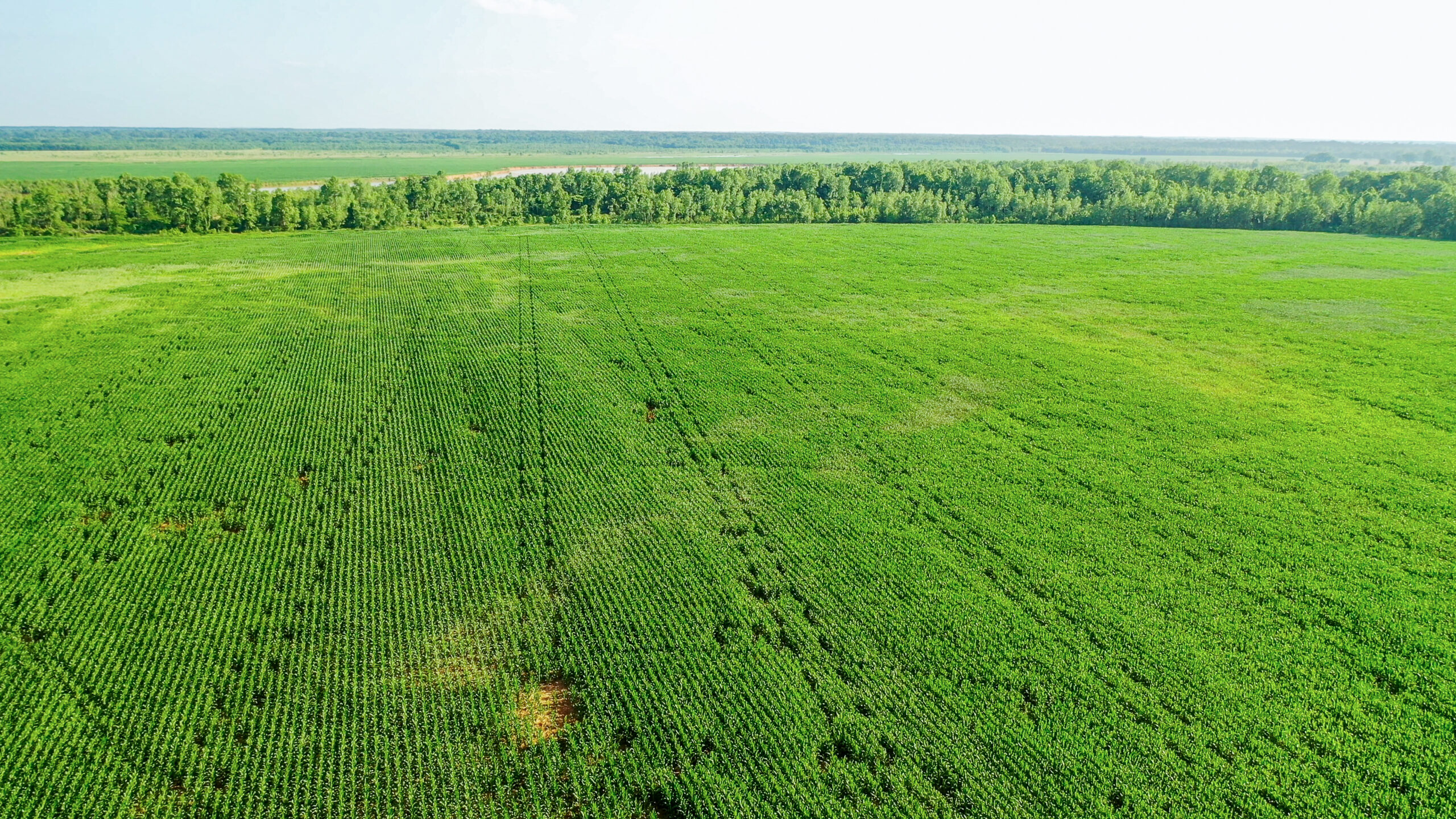Irrigated Red River Farm & Hunting Ranch