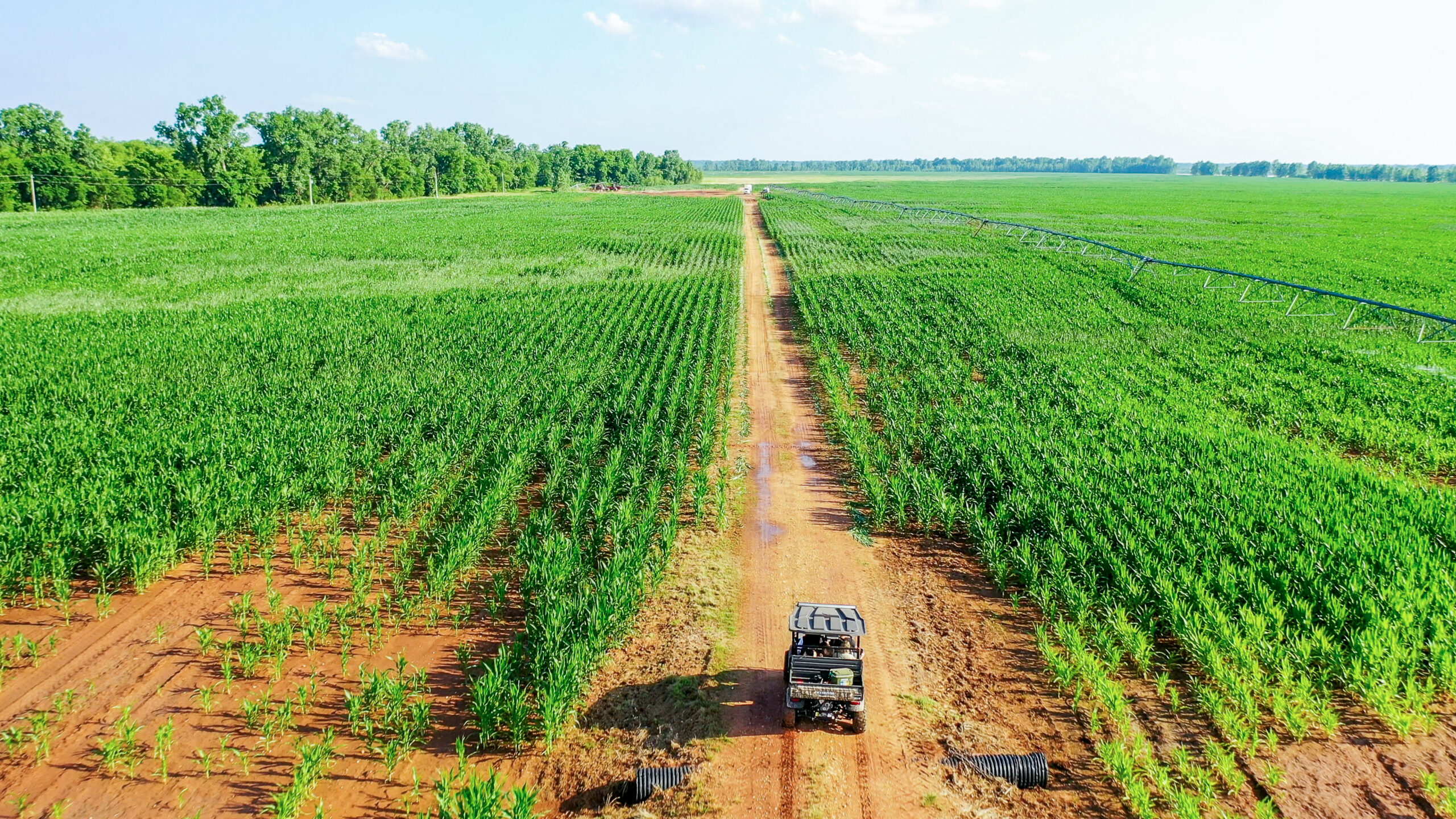 Irrigated Red River Farm & Hunting Ranch