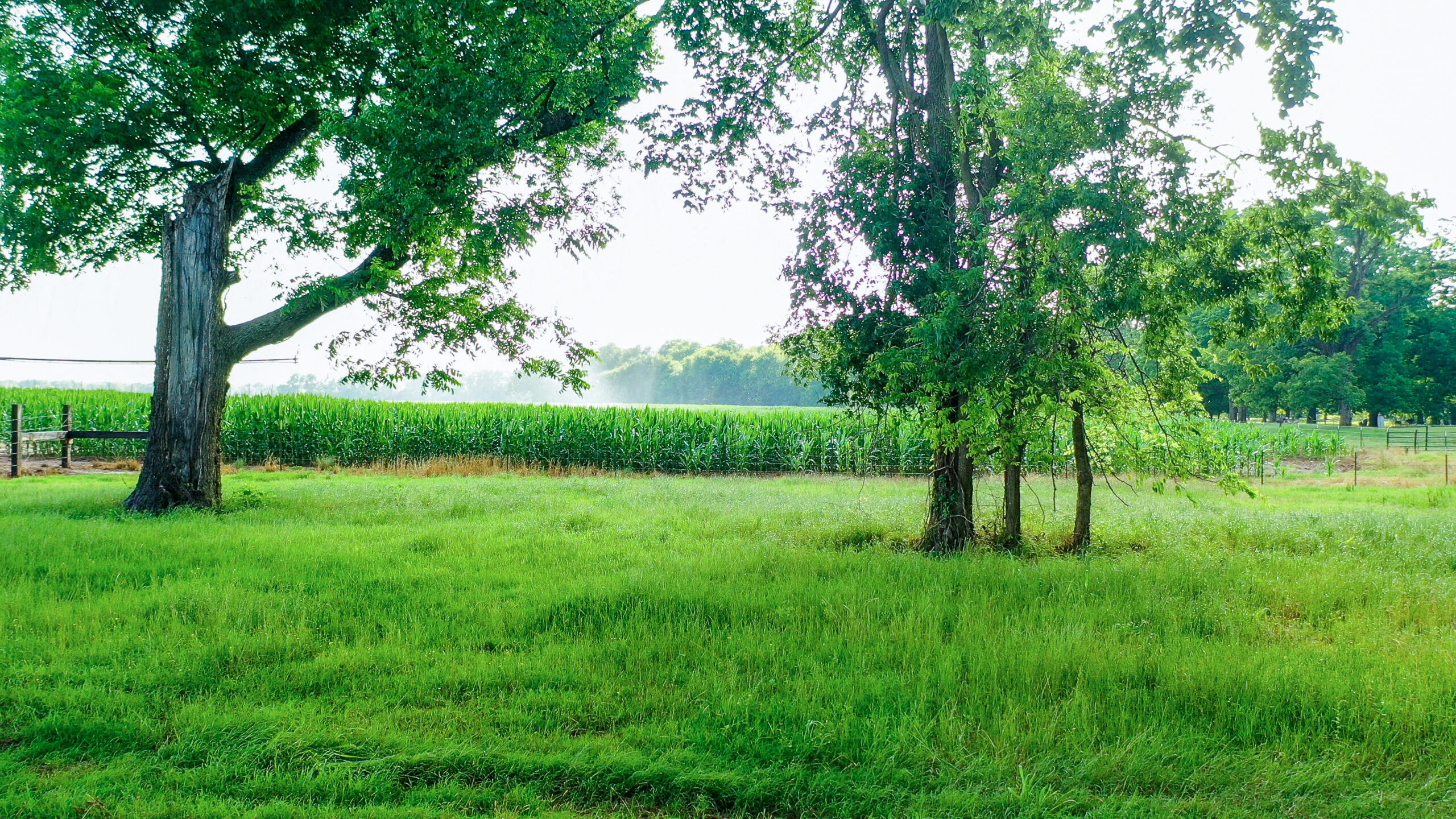Irrigated Red River Farm & Hunting Ranch