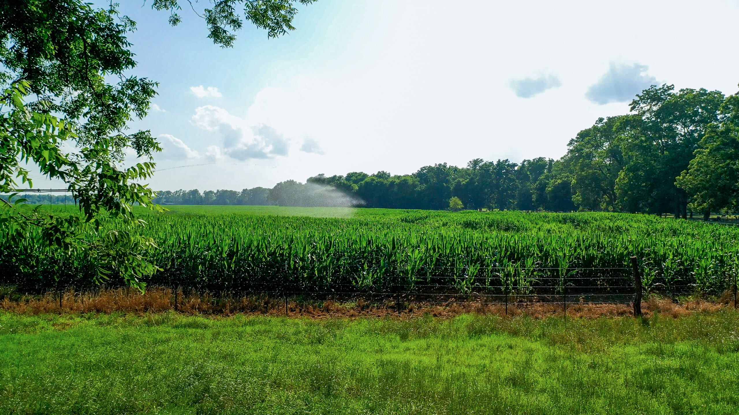 Irrigated Red River Farm & Hunting Ranch